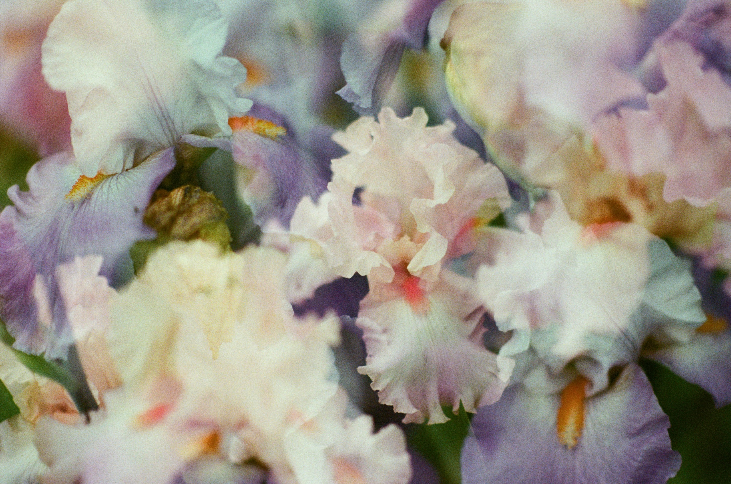 Pain shopping // ukraine, crimea IV. EVER EXPOSED