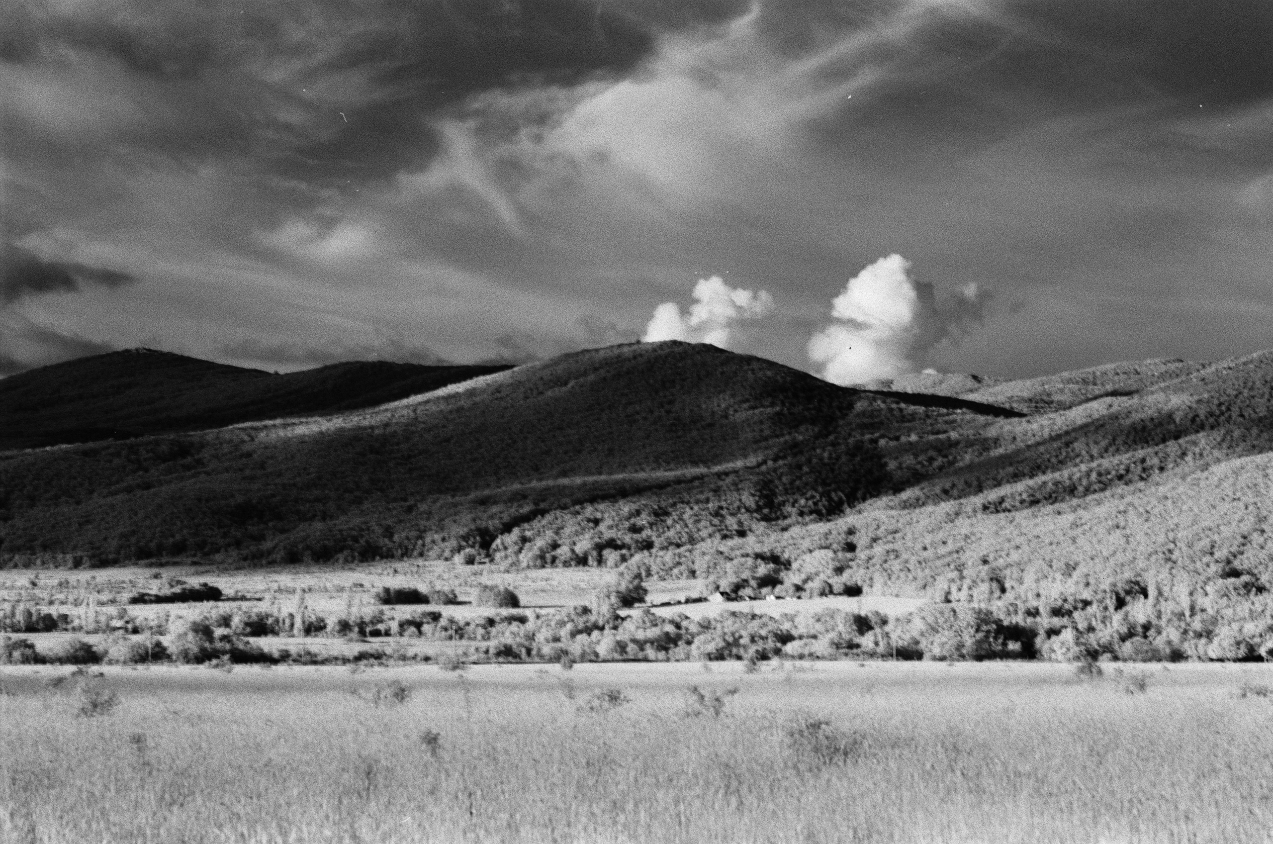 Point of no reply // ukraine, crimea V. EVER EXPOSED