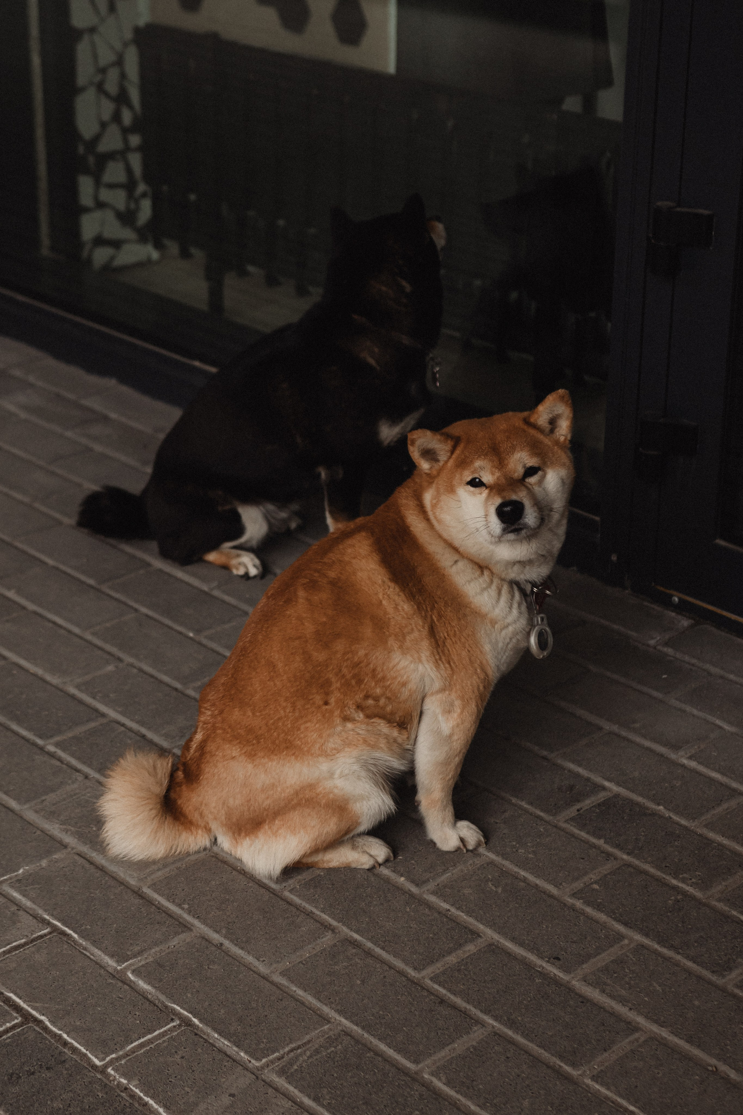 Вика. Фотограф Новосибирск