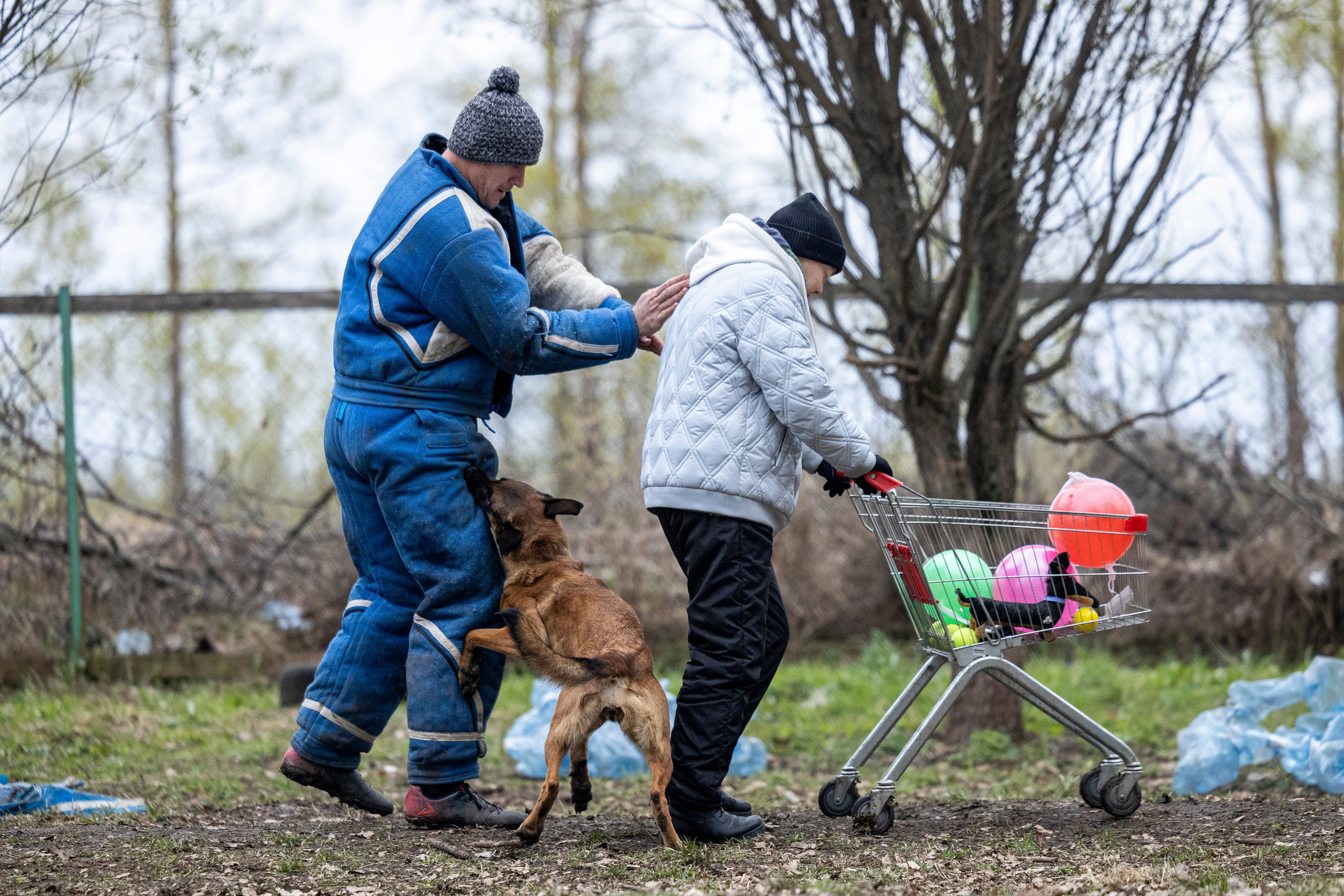 Квалификационные состязания по мондьорингу г. Вологда 11.05.24. Фотограф-анималист Анна Маринич