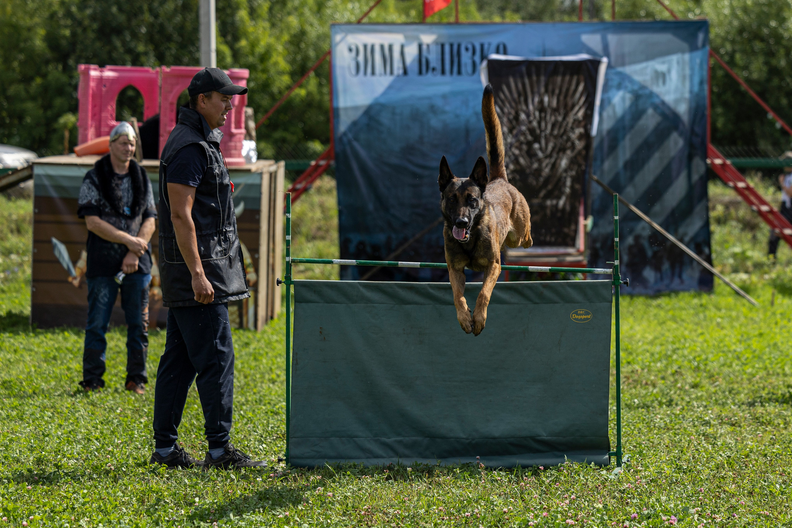 Соревнования по Мондьорингу г. Вологда 10-11.08.2024. Фотограф-анималист Анна Маринич