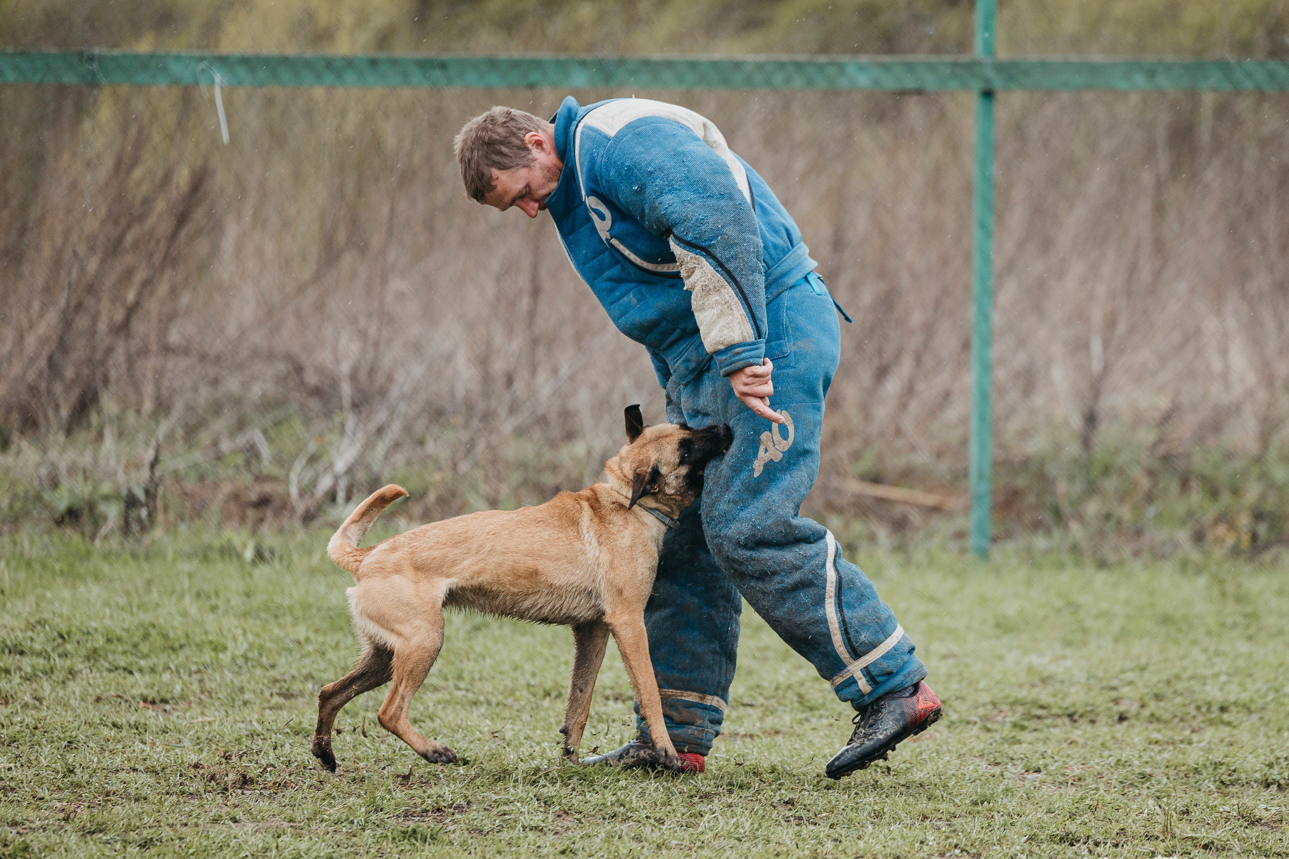 09.05.25 Вологда соревнования. Фотограф-анималист Анна Маринич
