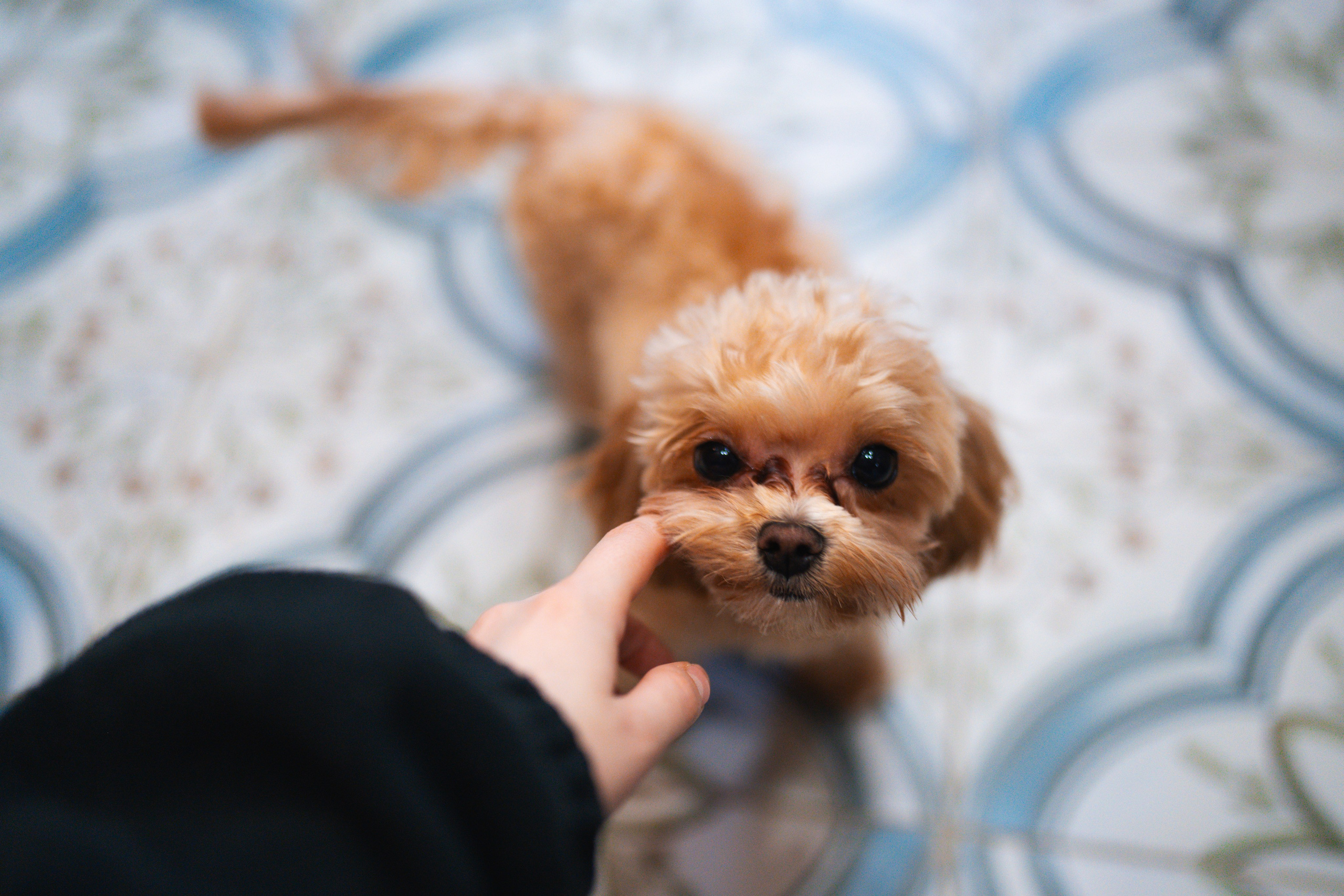 Пасха. Свадебный фотограф в Москве Кристина Чехова