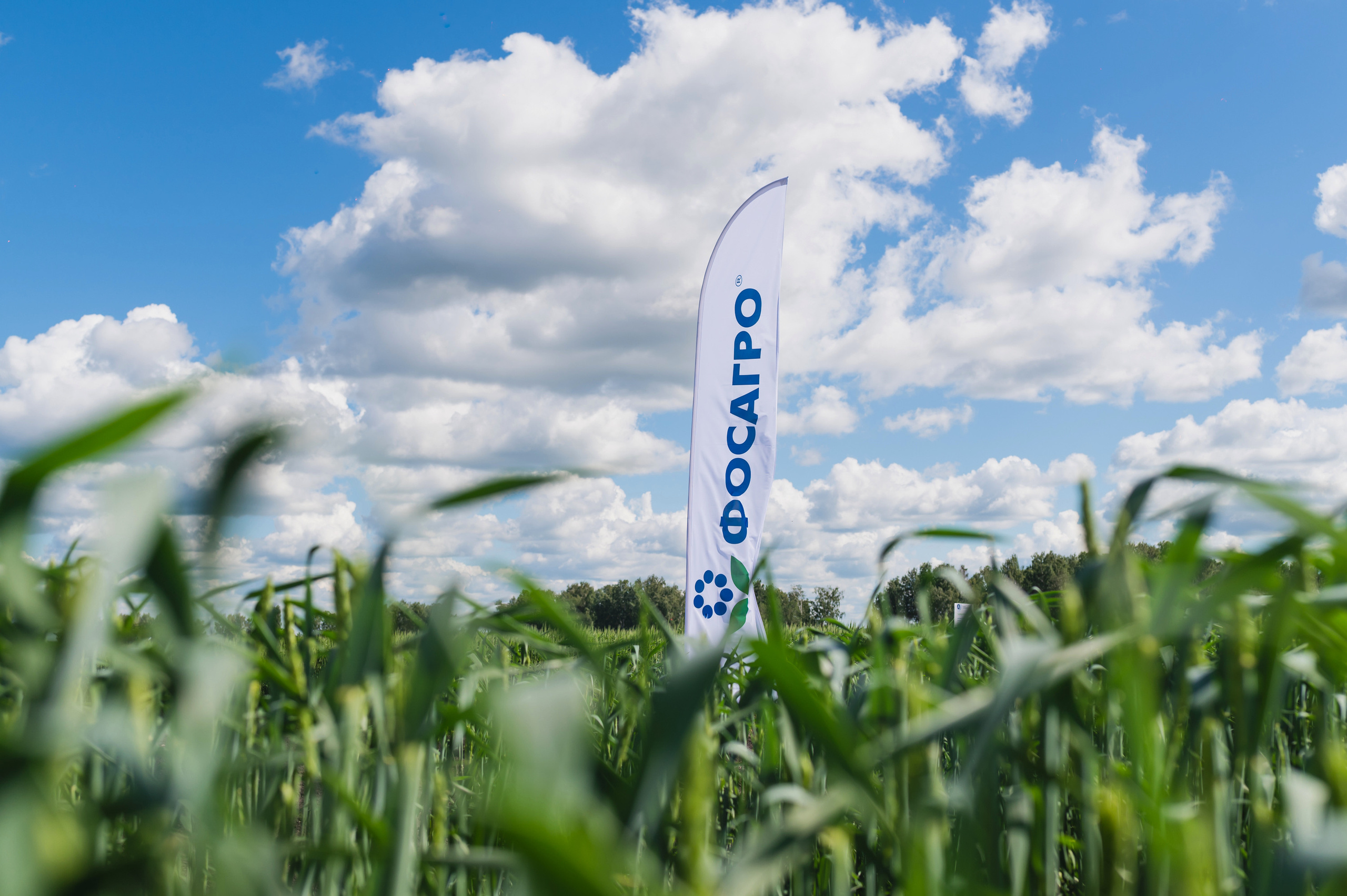 Сельскохозяйственная выставка — День поля 2022