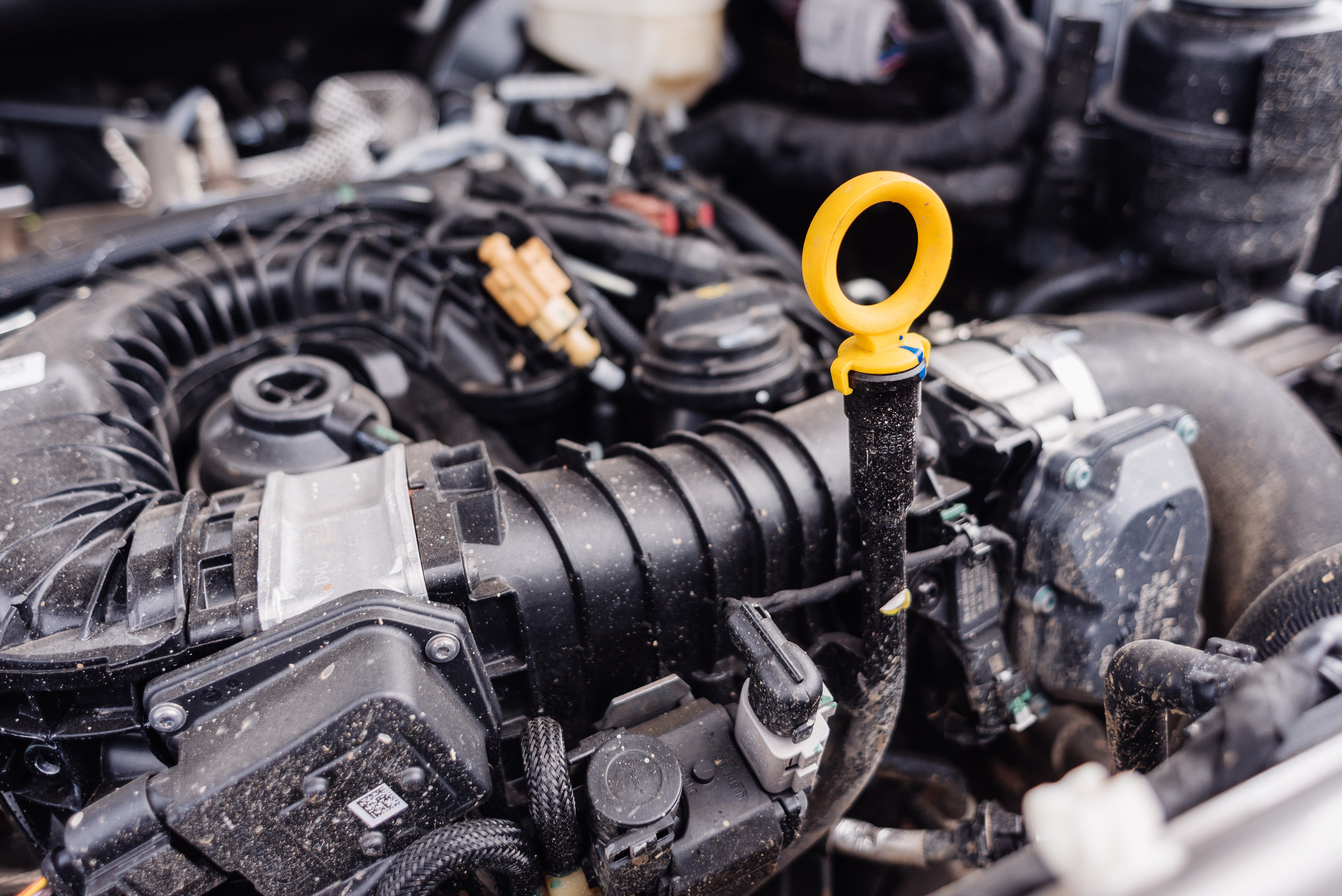 Всероссийский конкурс, стань Героем Amarok, 2017. Фотограф Виктор Андреасян