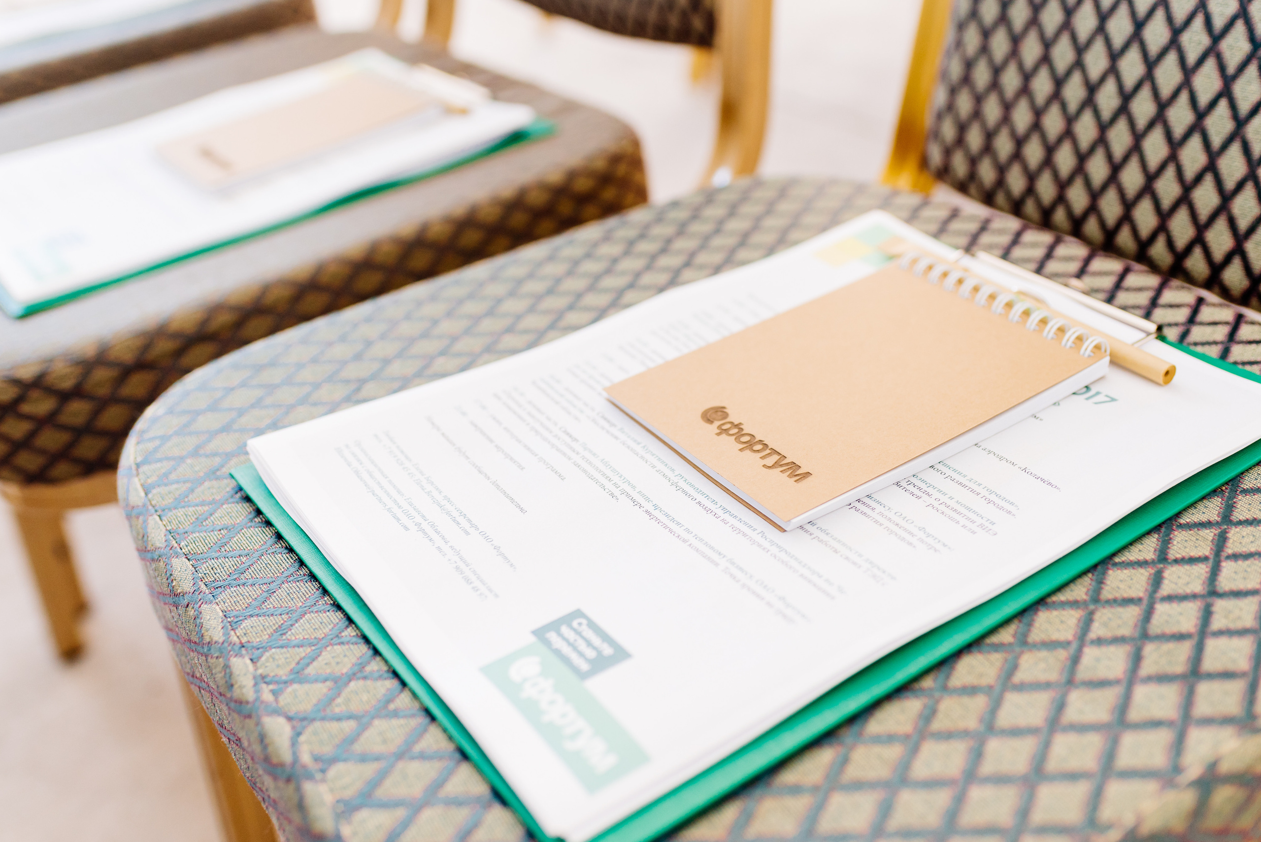 Фортум, «Энергетической кухня» 2017. Фотограф Виктор Андреасян