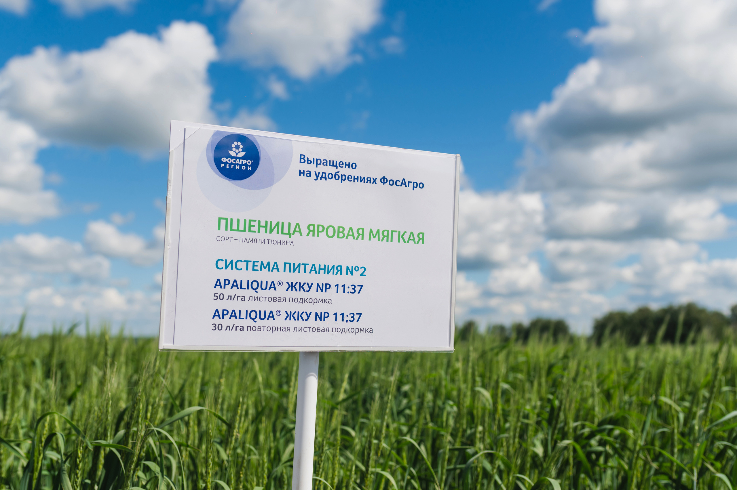 Сельскохозяйственная выставка — День поля 2022. Фотограф Виктор Андреасян