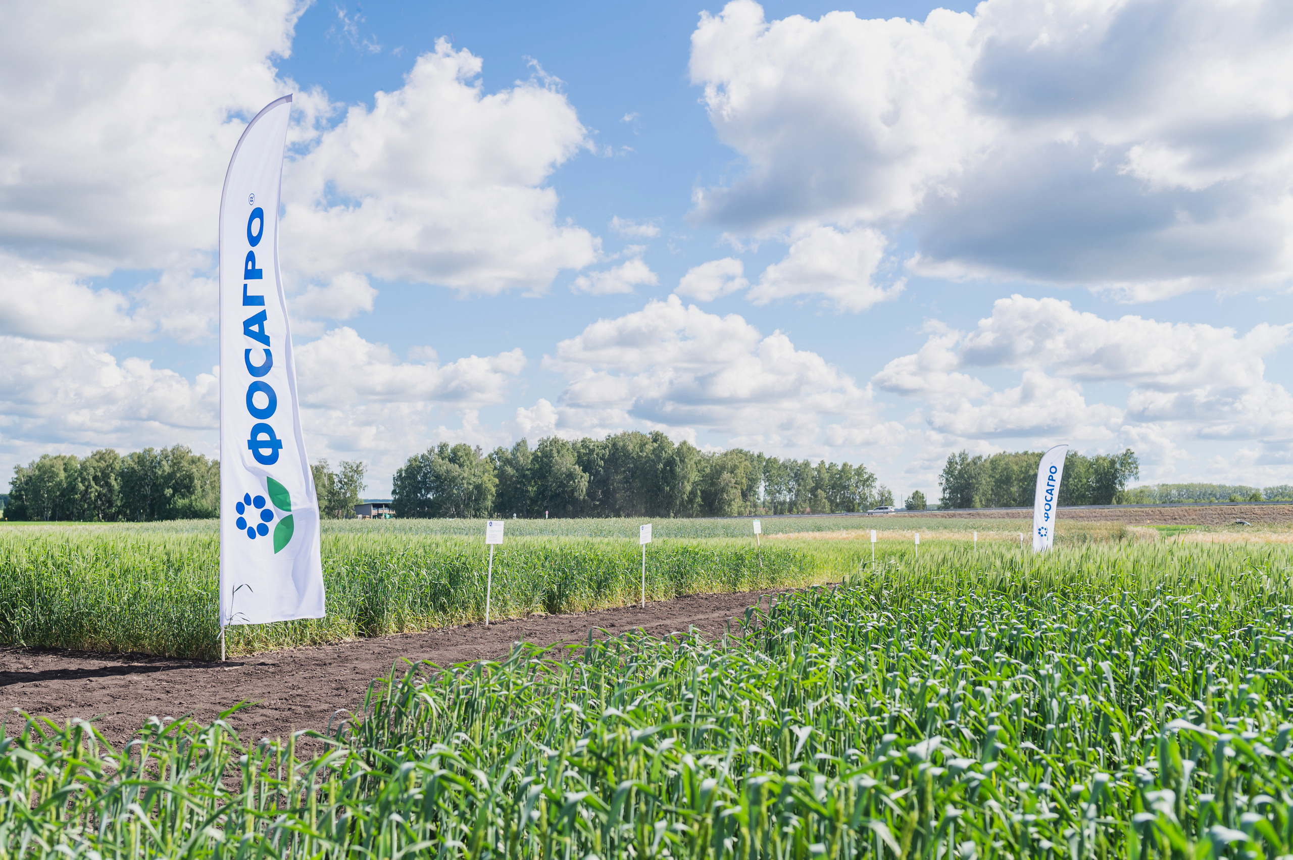 Сельскохозяйственная выставка — День поля 2022. Фотограф Виктор Андреасян