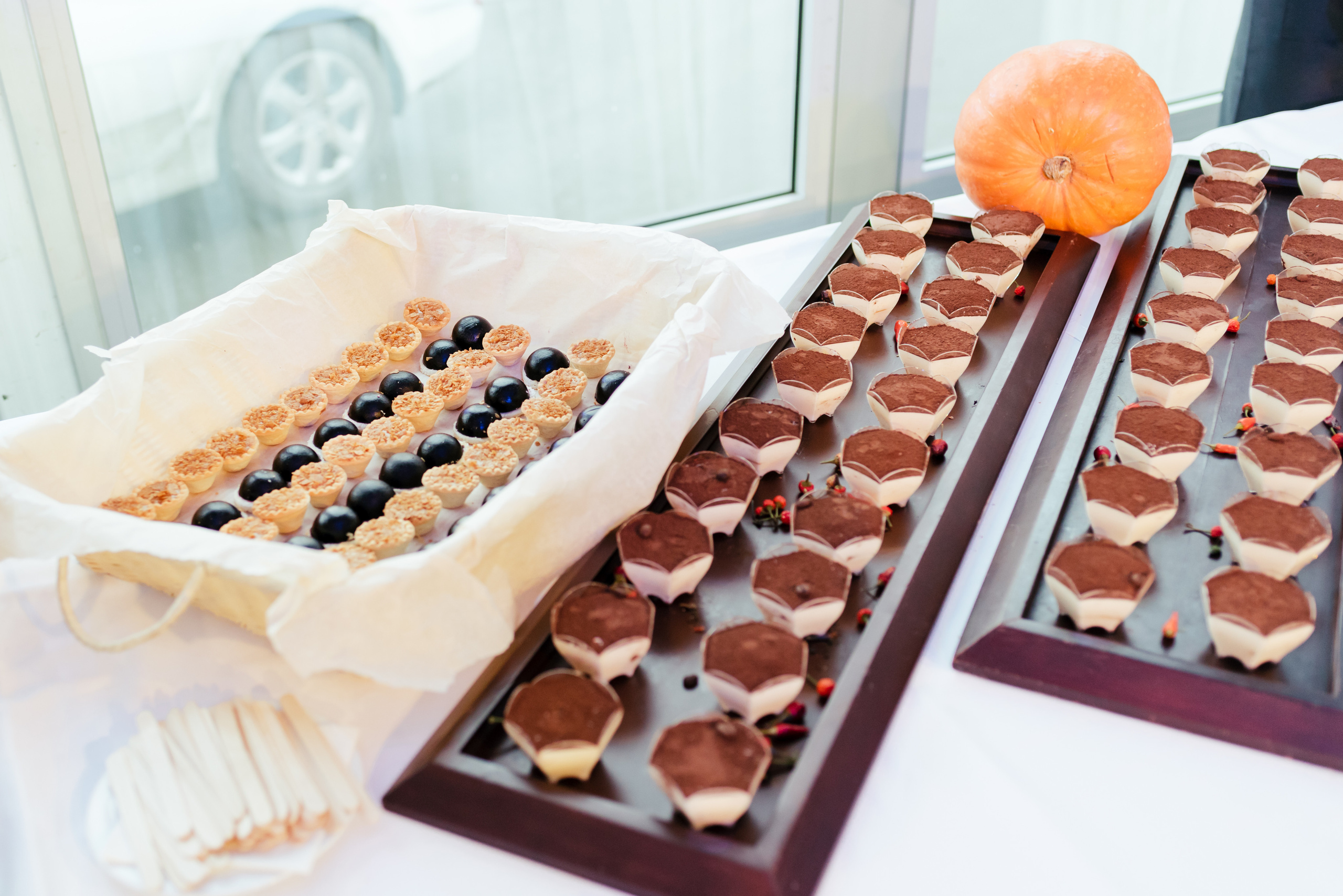 Открытие новой ТЭЦ «Фортум» — Челябинской ГРЭС 2016. Фотограф Виктор Андреасян