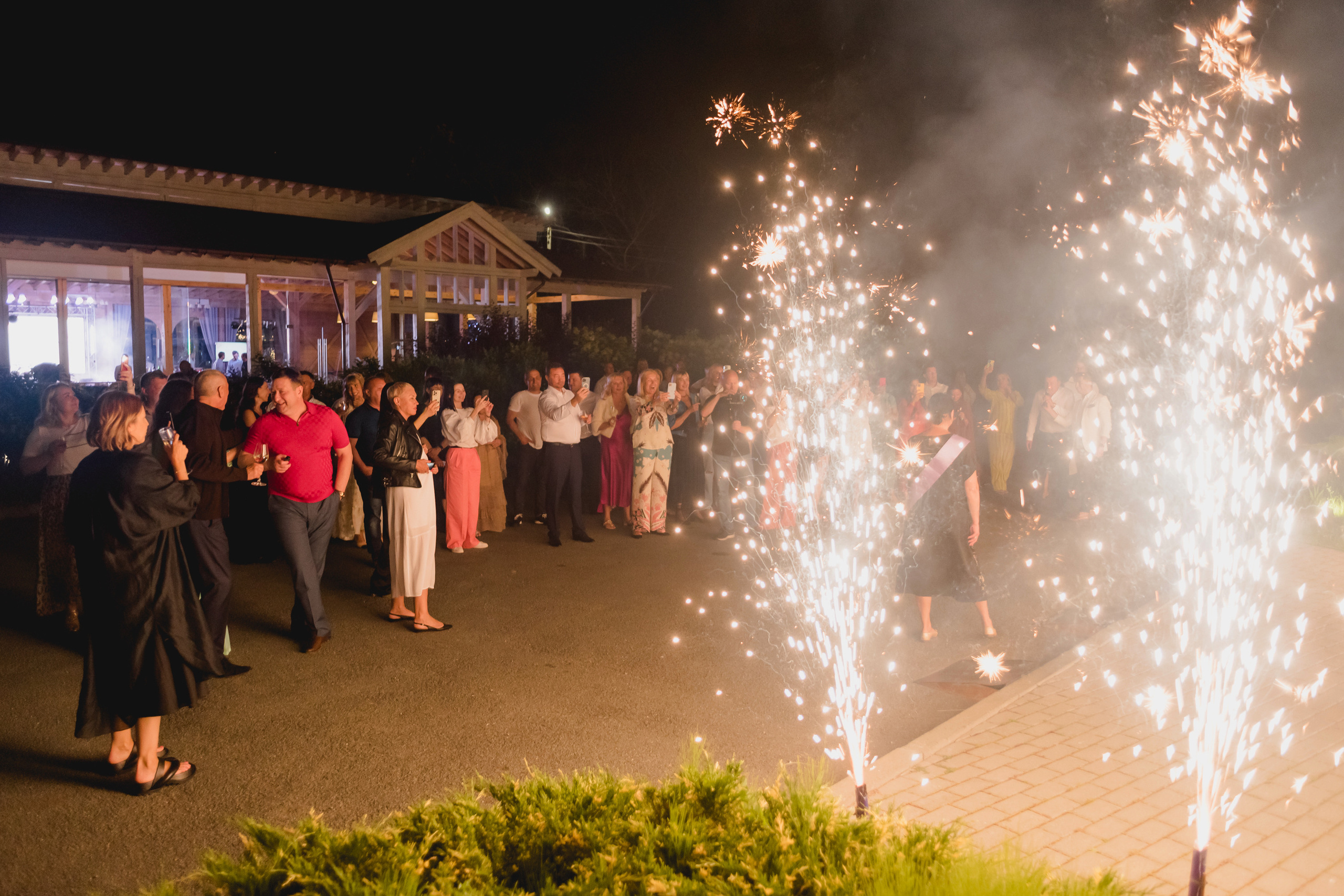 День рождения Елены. Фотограф Виктор Андреасян