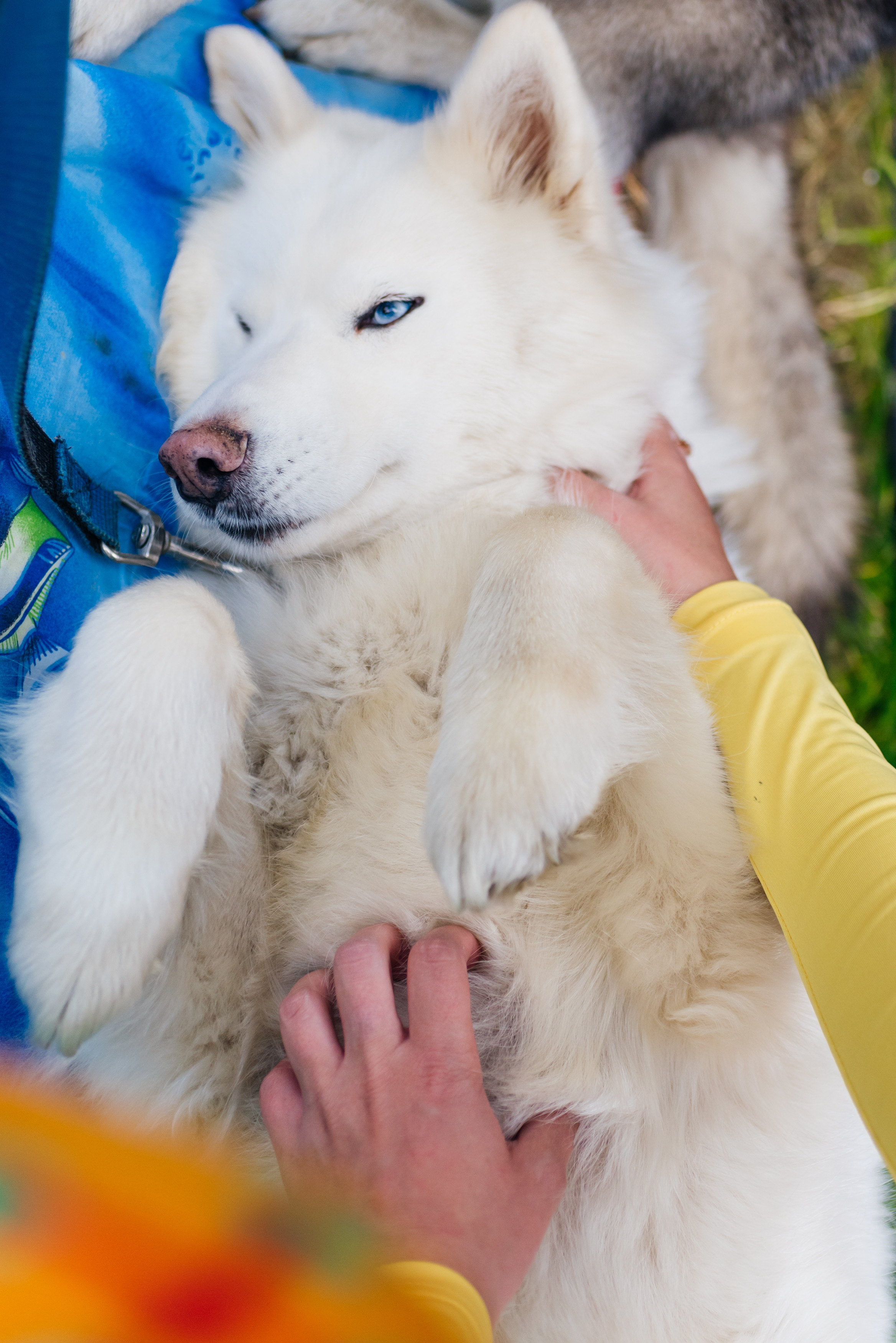Открытие магазина — «ЕРЕМЕЙ» 2019. Фотограф Виктор Андреасян