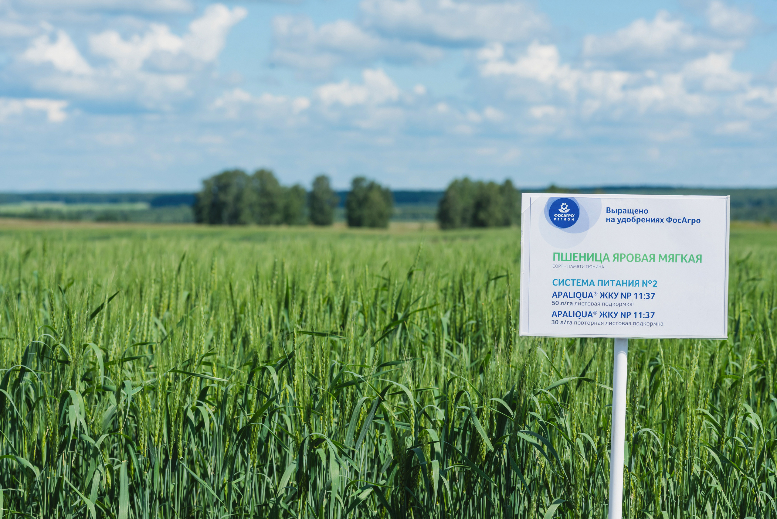 Сельскохозяйственная выставка — День поля 2022. Фотограф Виктор Андреасян