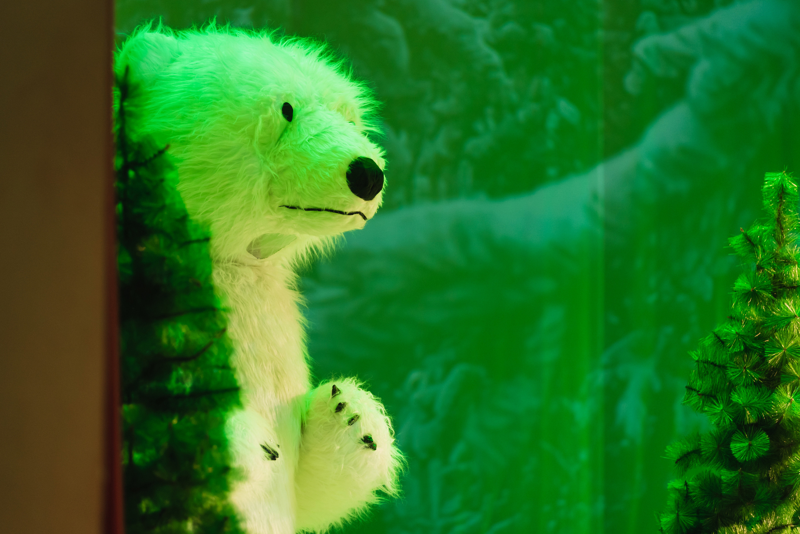 День рождения Уральской Снегурочки, 2023. Фотограф Виктор Андреасян