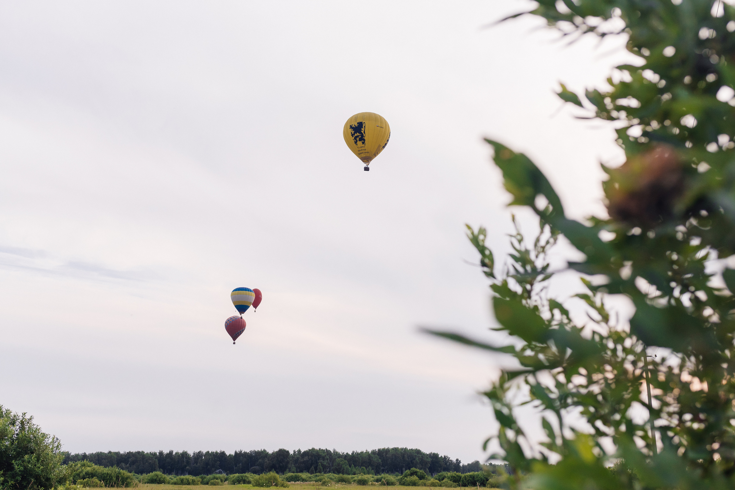 Фортум, «Энергетической кухня» 2017. Фотограф Виктор Андреасян