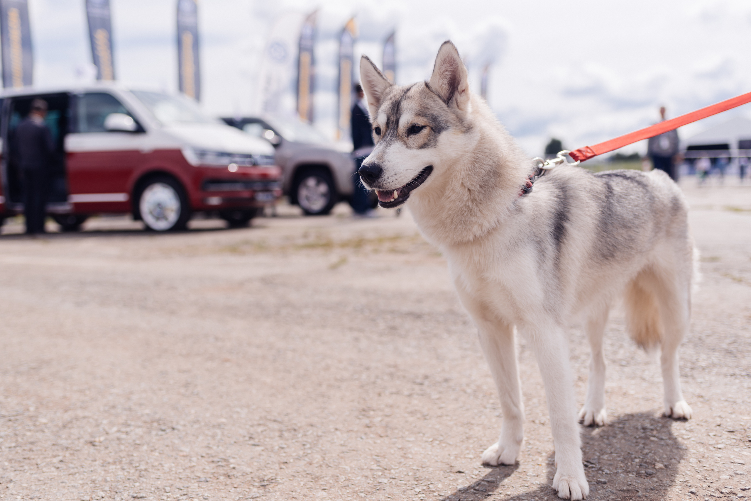 Всероссийский конкурс, стань Героем Amarok, 2017. Фотограф Виктор Андреасян