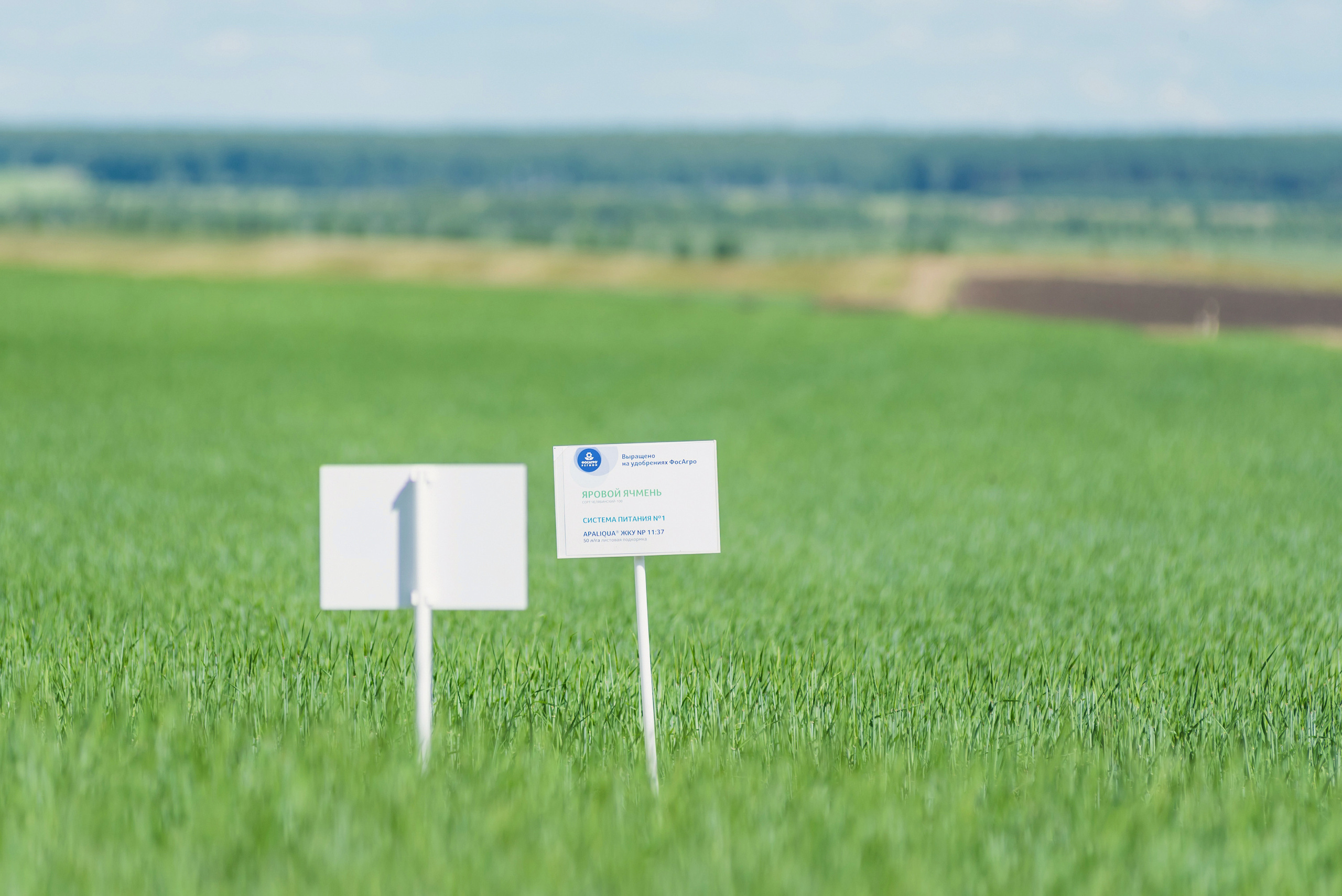 Сельскохозяйственная выставка — День поля 2022. Фотограф Виктор Андреасян