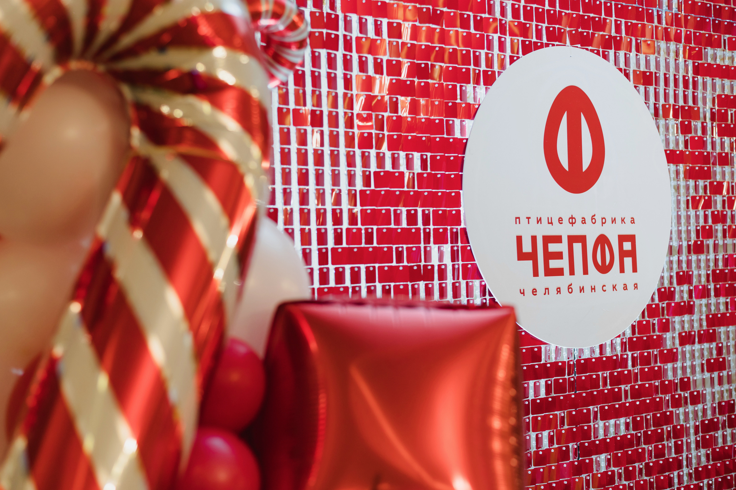 Новогодний корпоратив — ЧЕПФА, 2022. Фотограф Виктор Андреасян