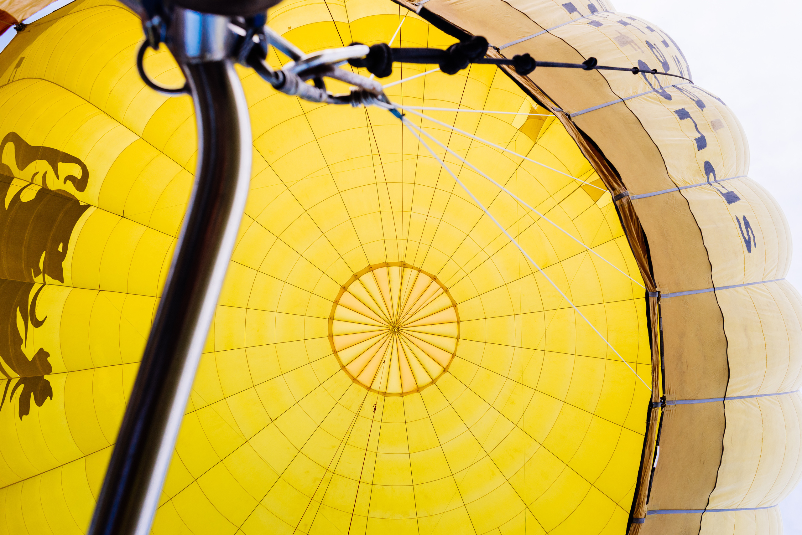 Фортум, «Энергетической кухня» 2017. Фотограф Виктор Андреасян