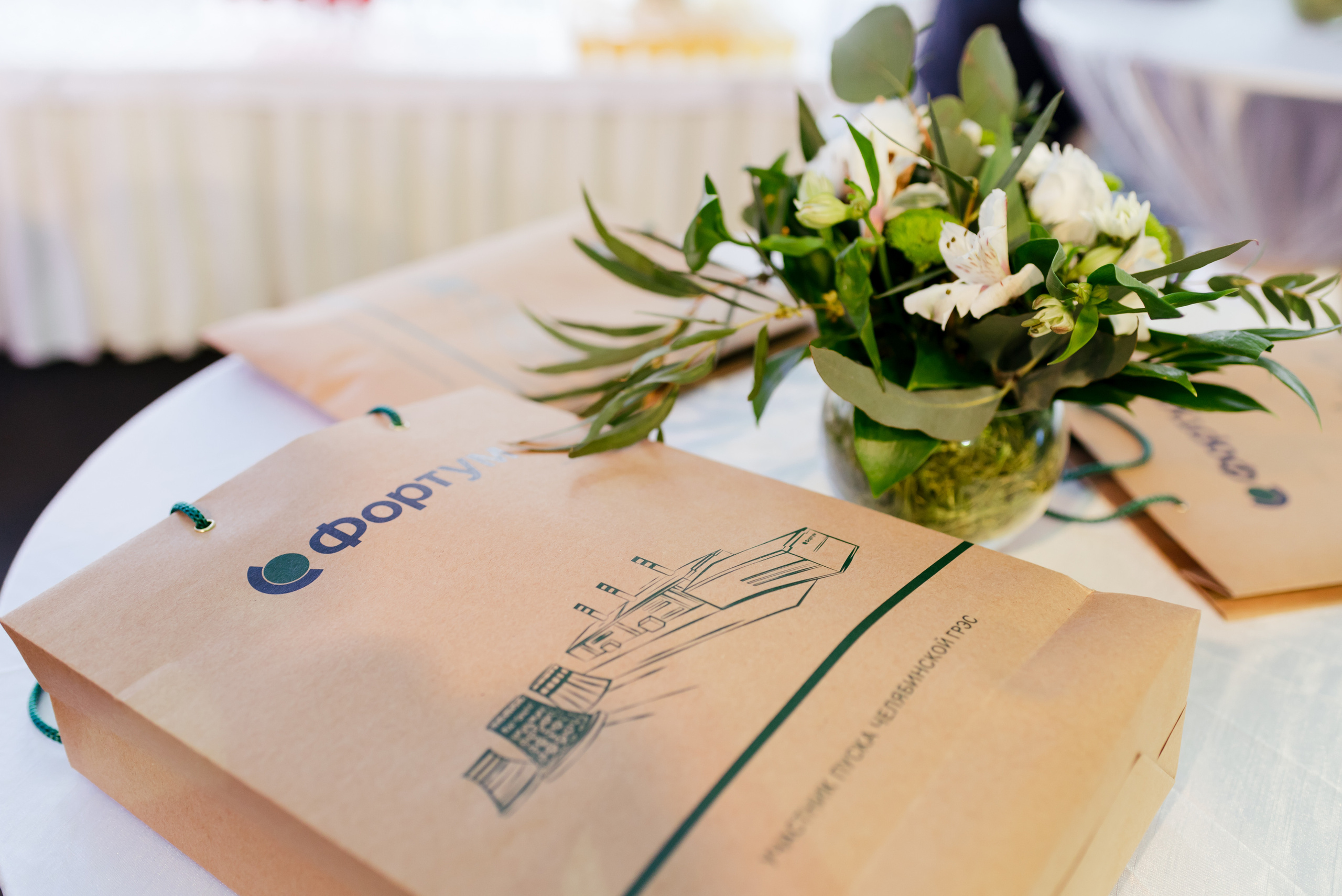 Открытие новой ТЭЦ «Фортум» — Челябинской ГРЭС 2016. Фотограф Виктор Андреасян