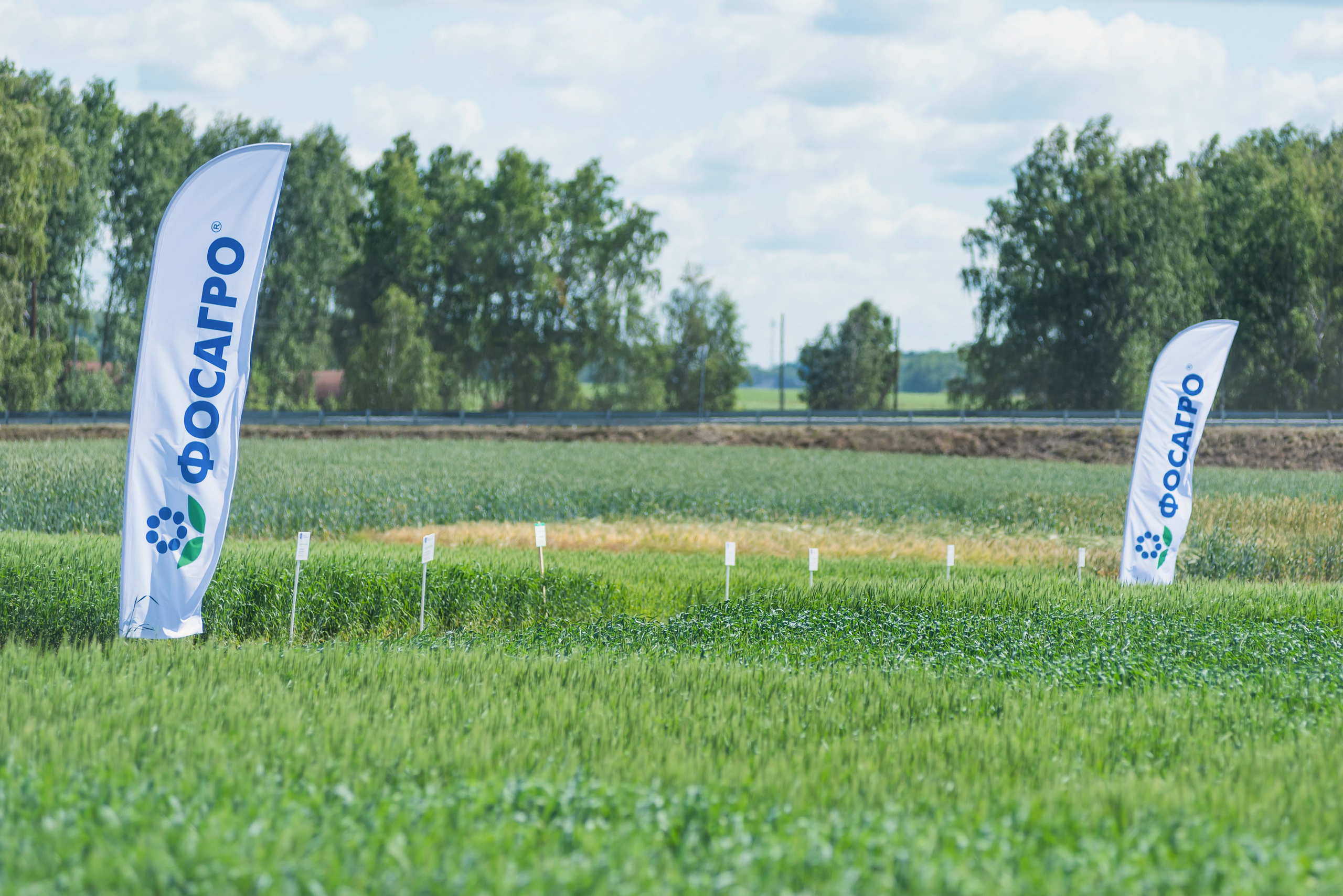 Сельскохозяйственная выставка — День поля 2022. Фотограф Виктор Андреасян