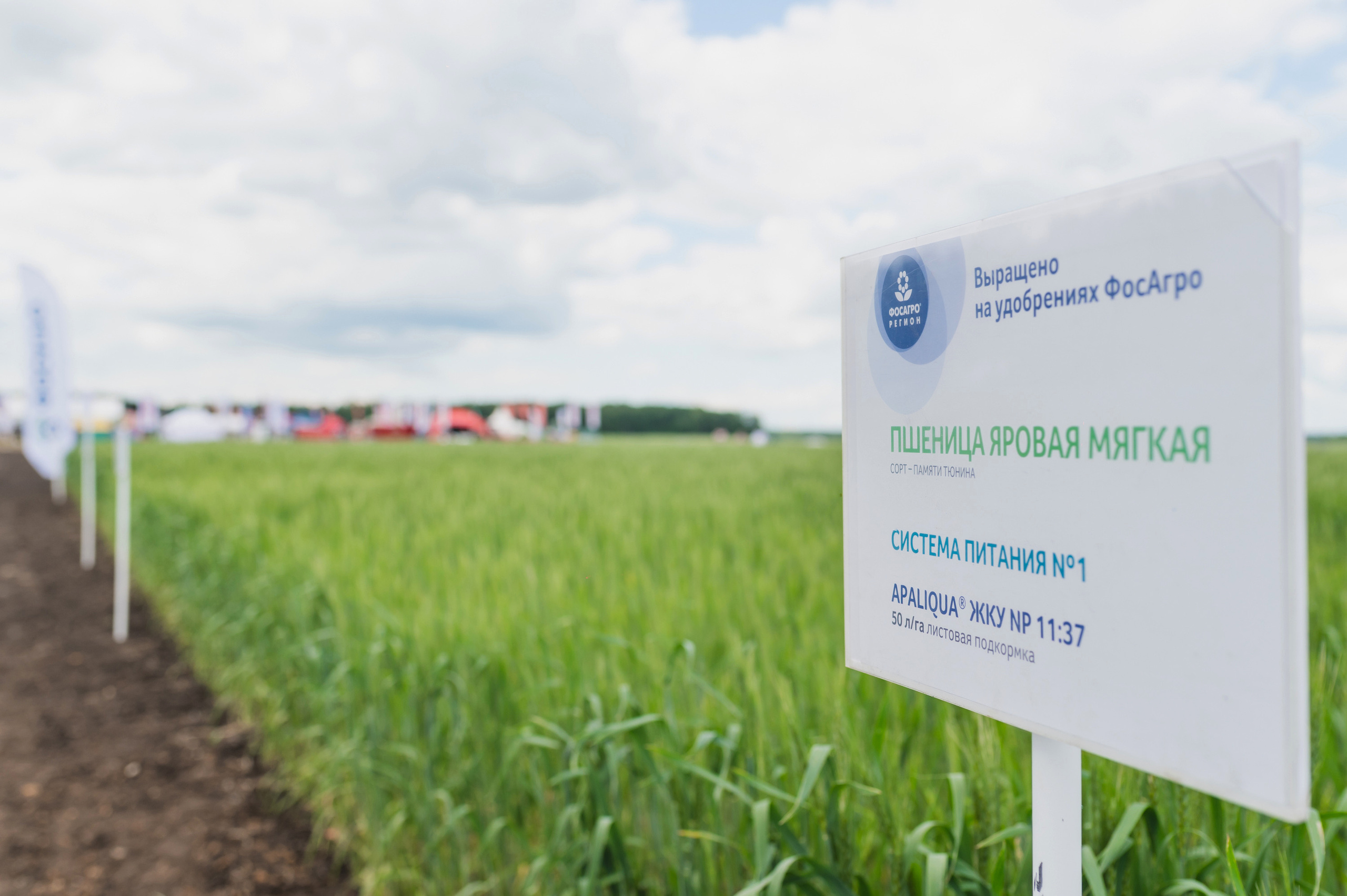 Сельскохозяйственная выставка — День поля 2022. Фотограф Виктор Андреасян