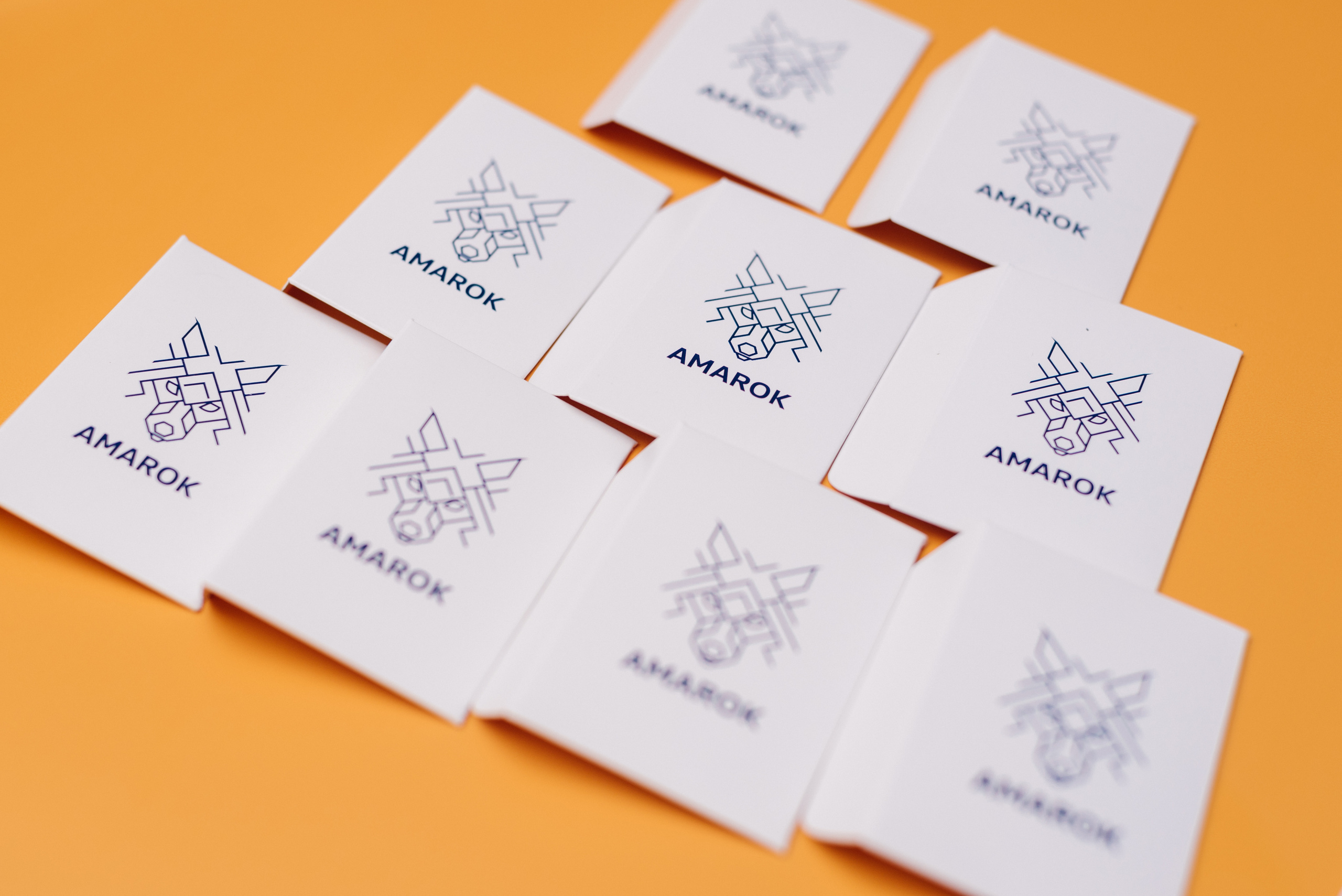 Всероссийский конкурс, стань Героем Amarok, 2017. Фотограф Виктор Андреасян