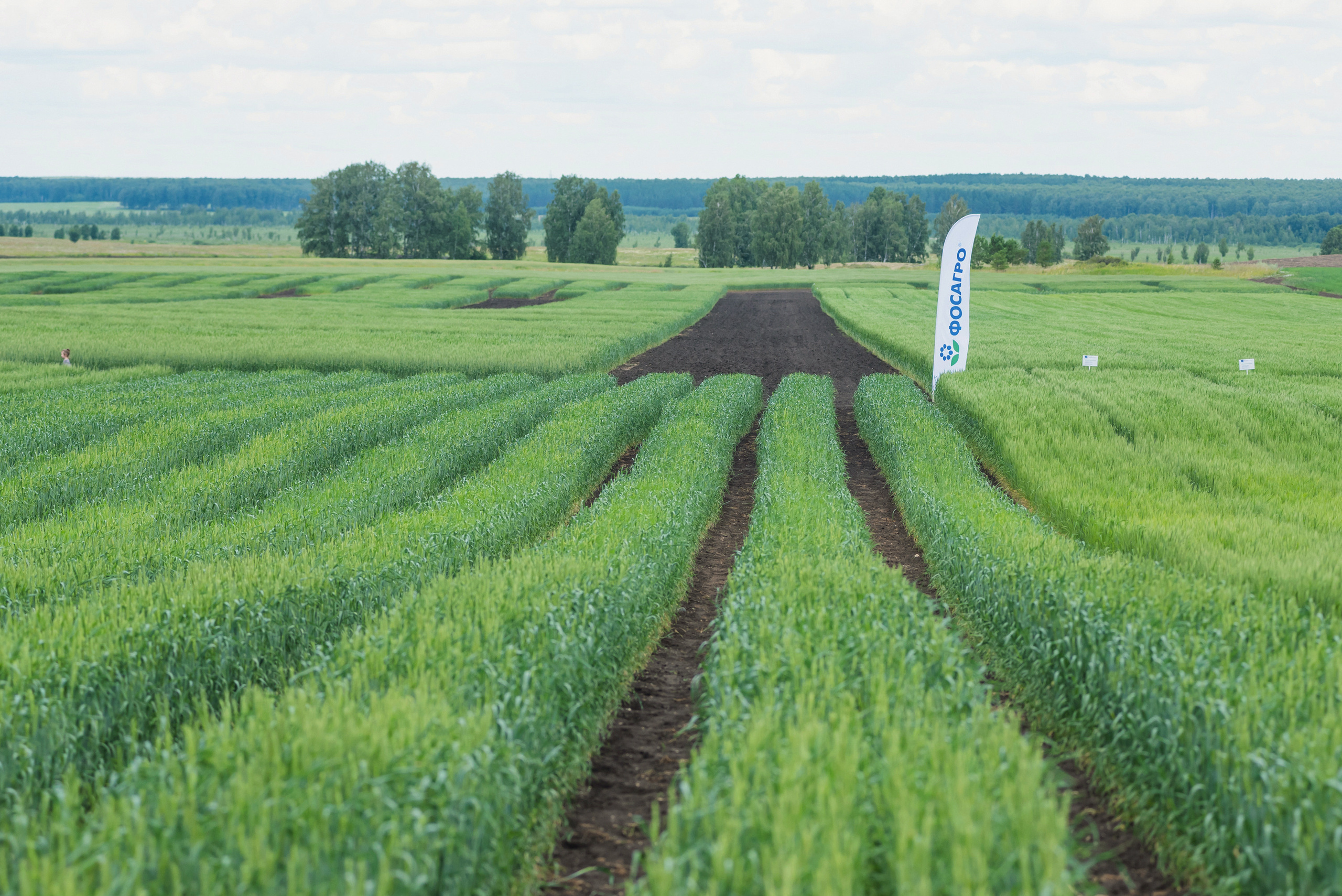 Сельскохозяйственная выставка — День поля 2022. Фотограф Виктор Андреасян