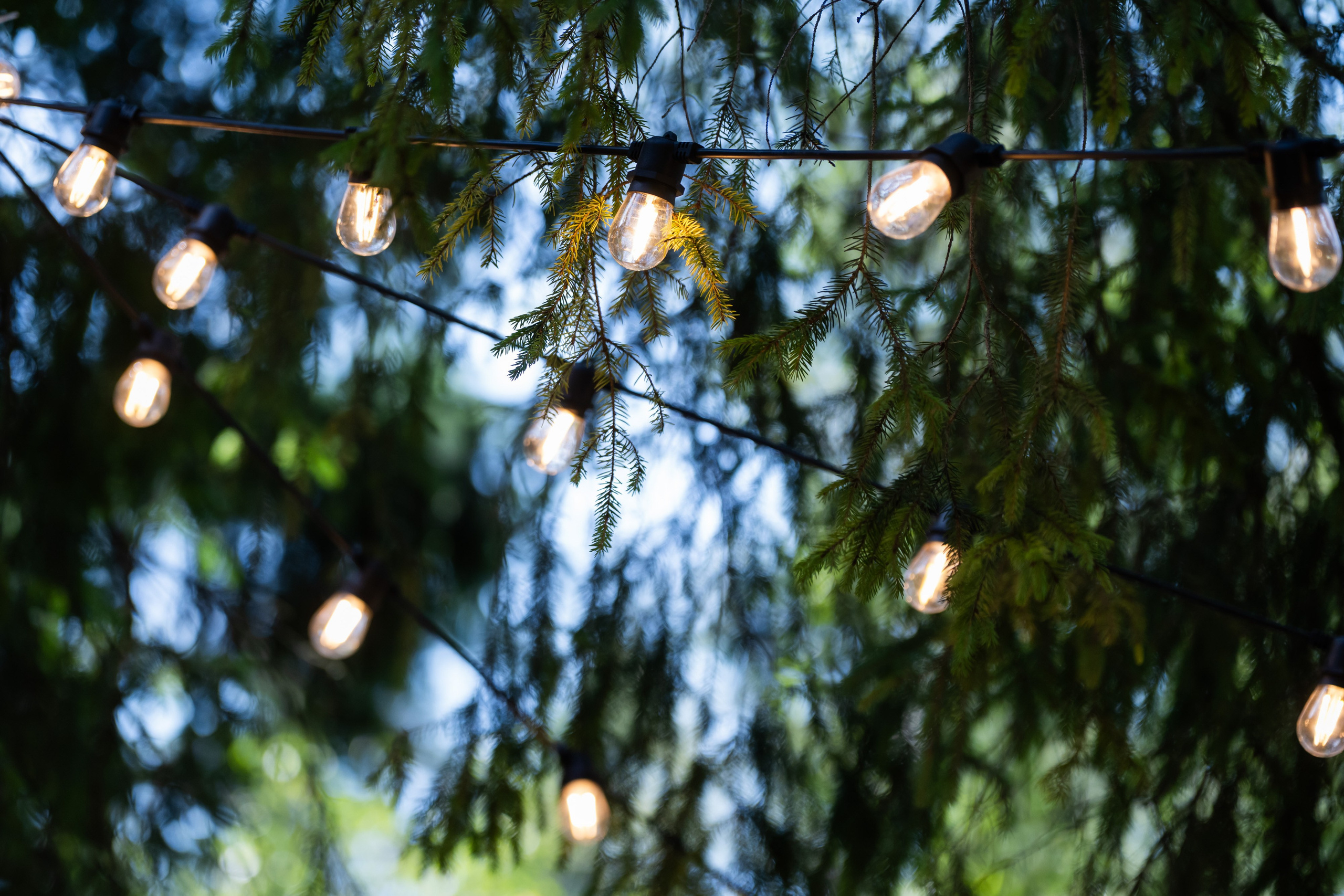 Хлебпром. Репортажный фотограф Сергей Дроздов