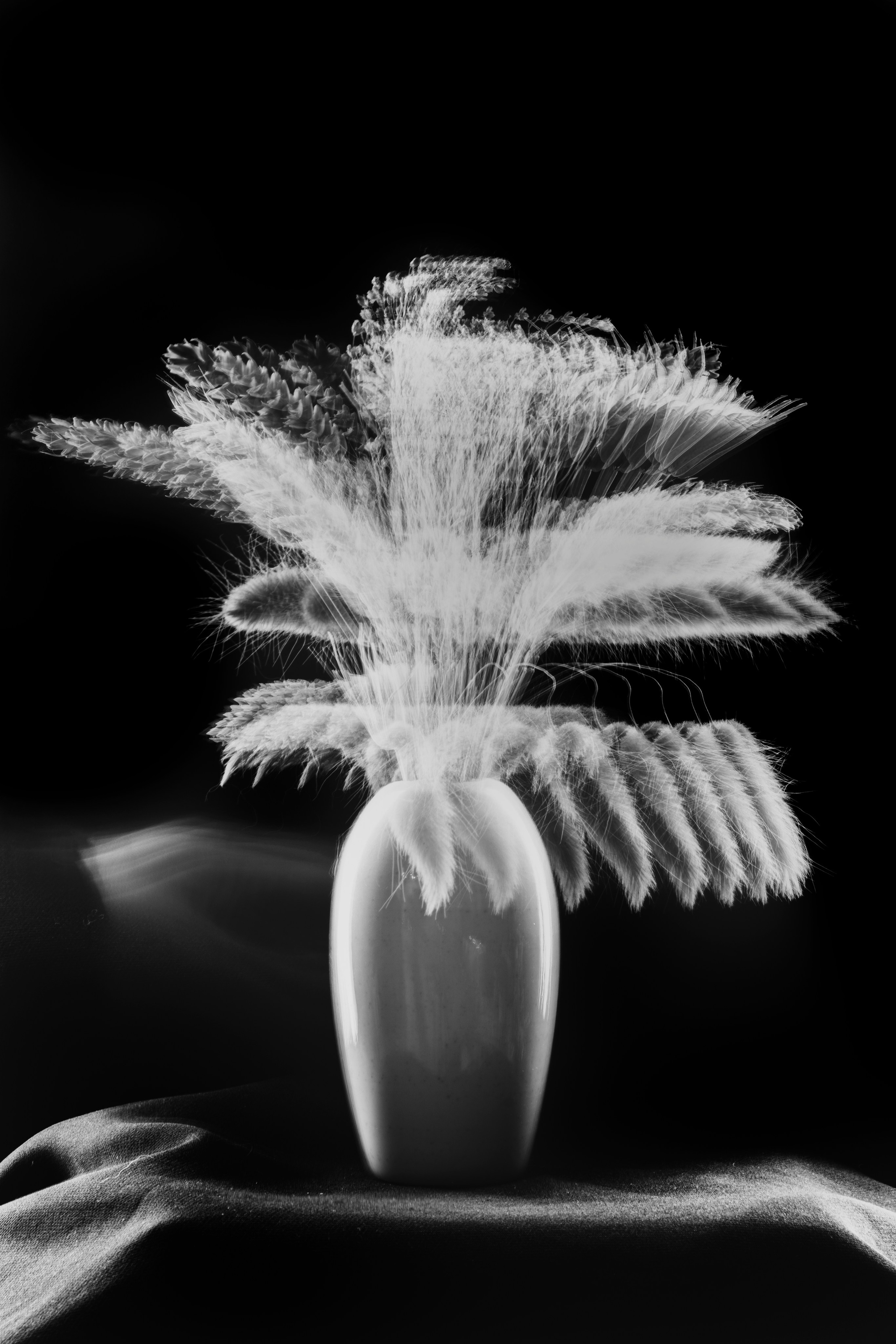 Цветы тревоги. Ксюша Черотченко — фотограф из Санкт-Петербурга