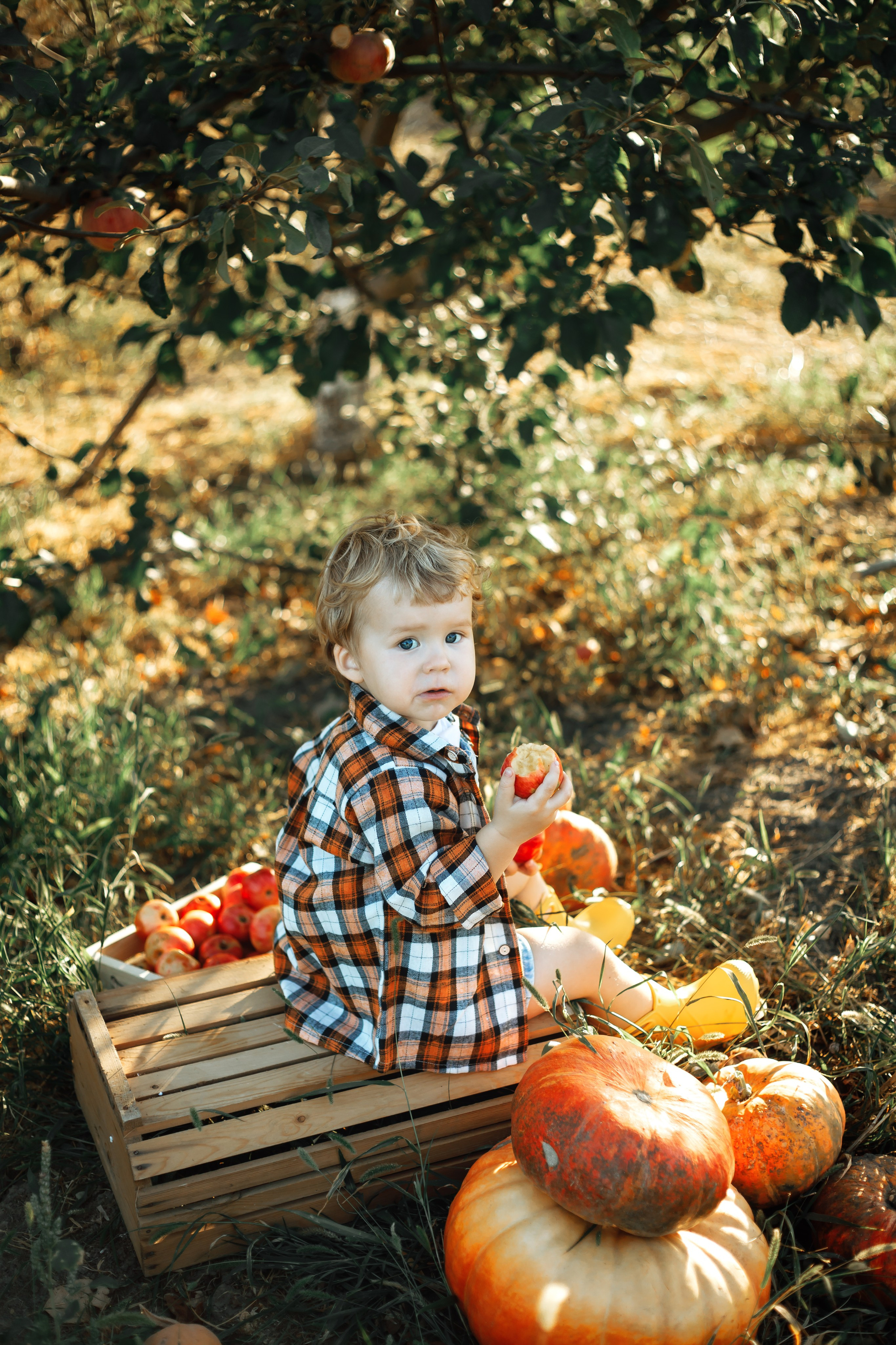 Фотосессия детская с тыквами. Свадебный и семейный фотограф в Краснодарском крае Мария Данилкина