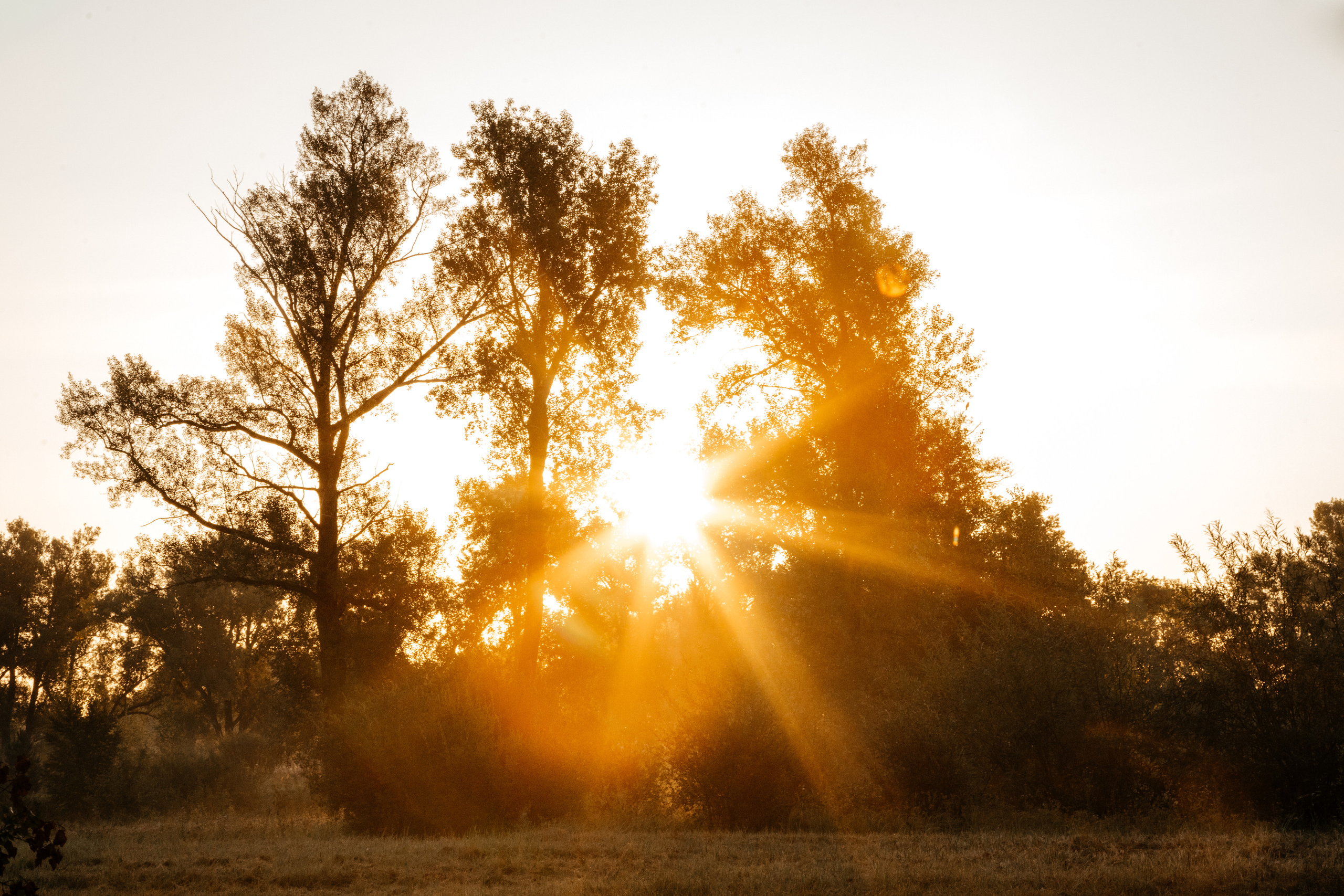 Пейзажи. Фотограф в Красноярске Оксана Корчагина