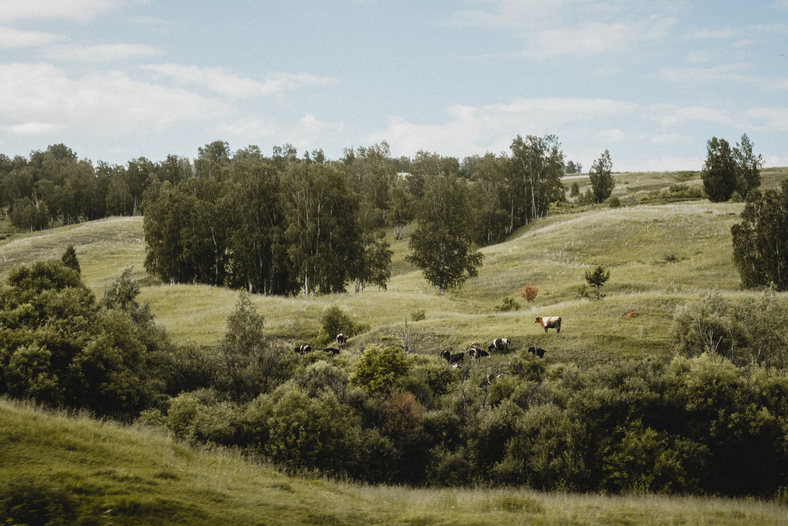 Пейзажи. Фотограф в Красноярске Оксана Корчагина