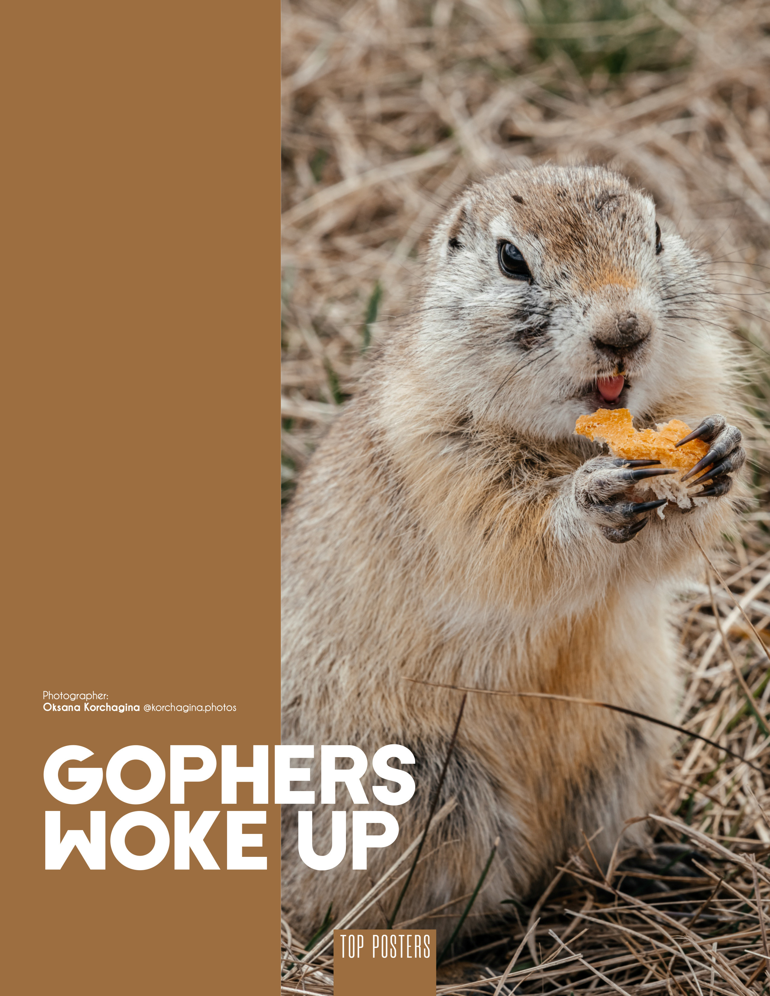 Публикации. Фотограф в Красноярске Оксана Корчагина