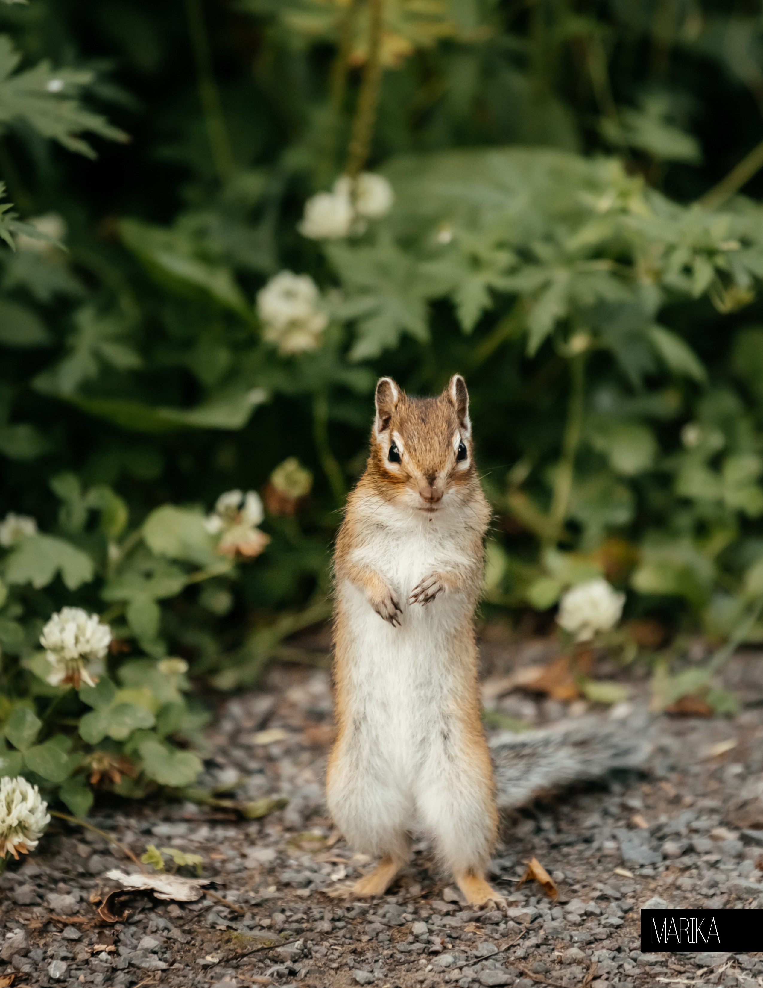 Публикации. Фотограф в Красноярске Оксана Корчагина