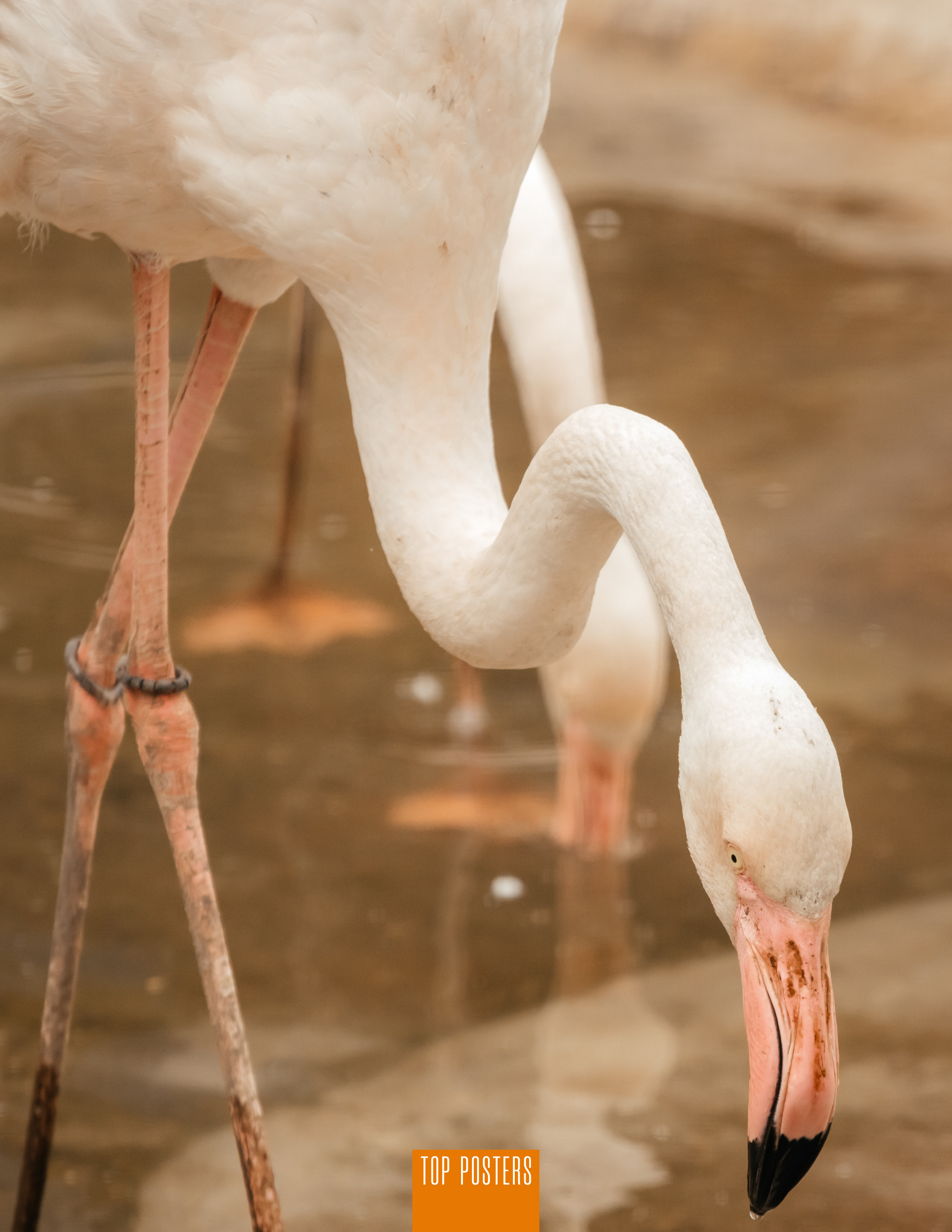 Публикации. Фотограф в Красноярске Оксана Корчагина