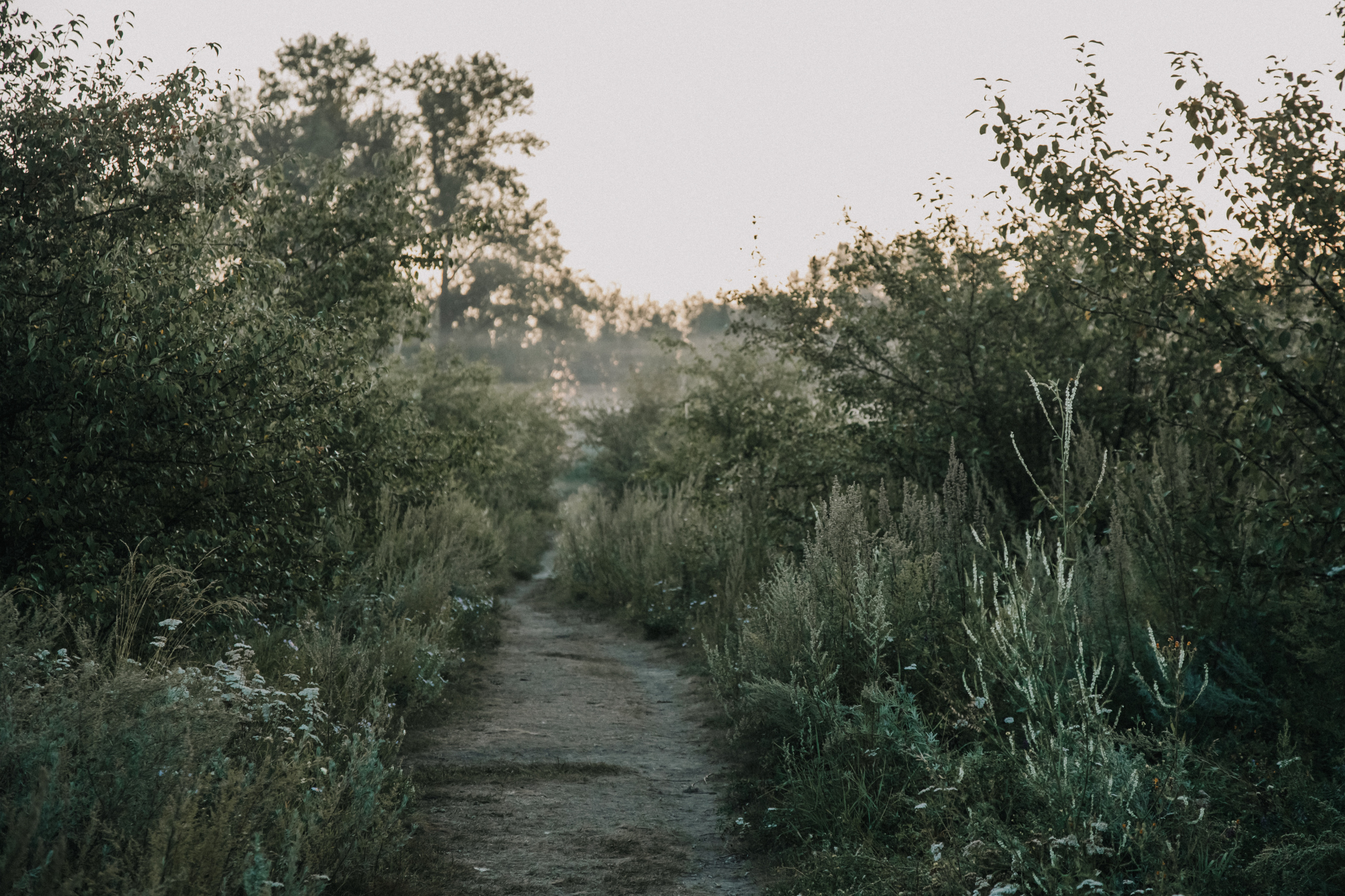 Пейзажи. Фотограф в Красноярске Оксана Корчагина