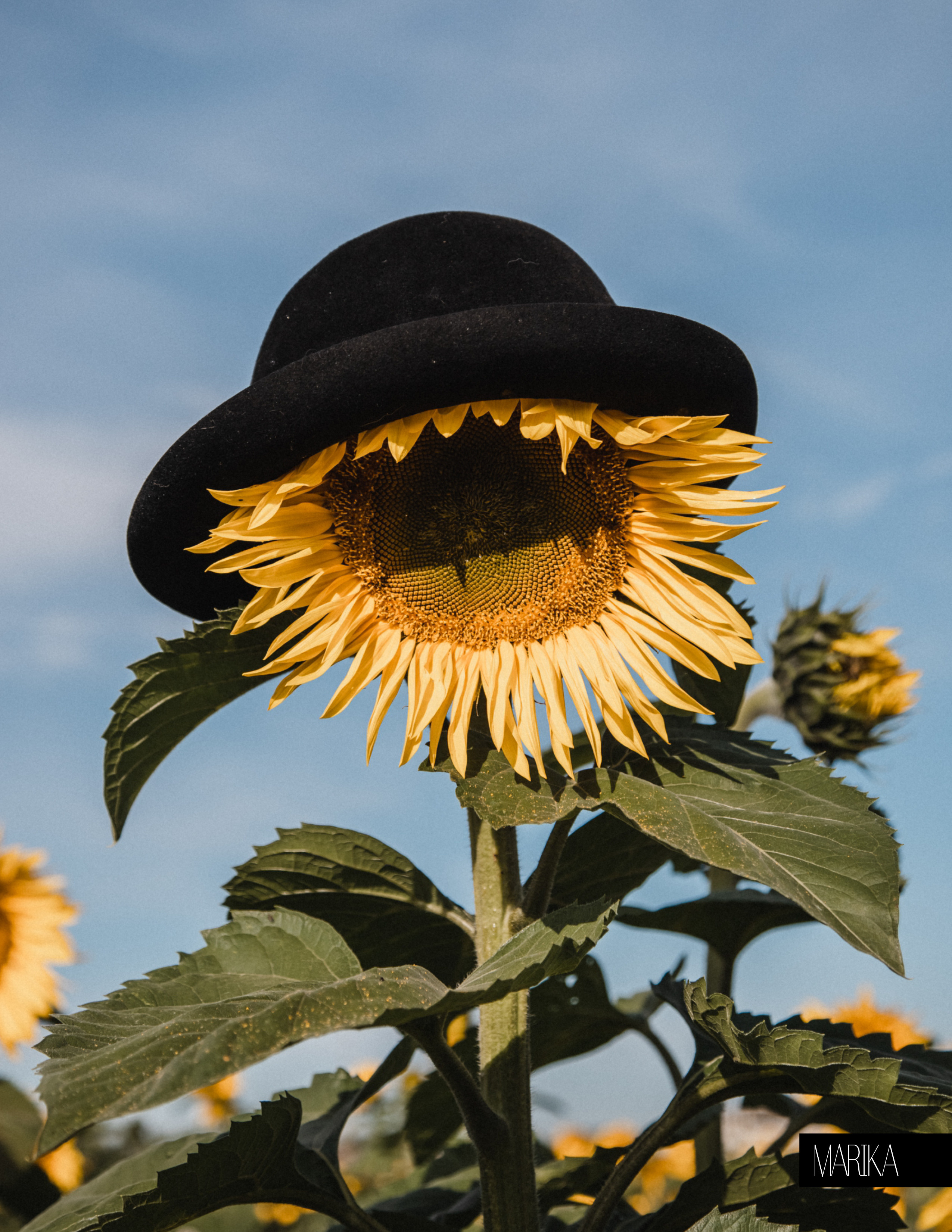 Публикации. Фотограф в Красноярске Оксана Корчагина