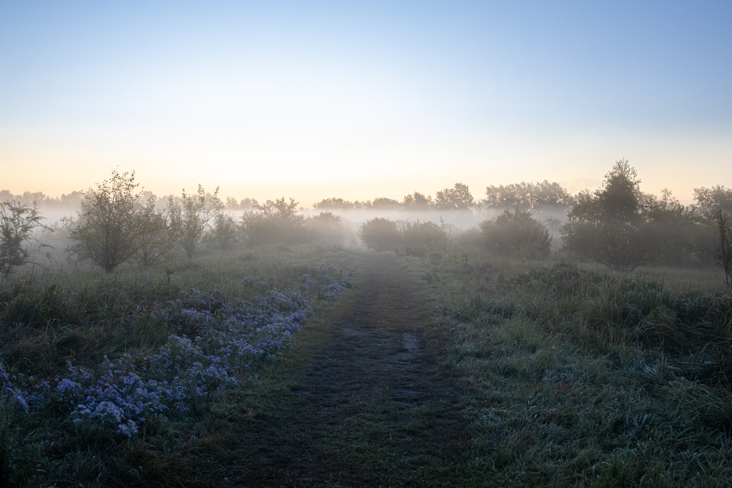 Пейзажи. Фотограф в Красноярске Оксана Корчагина