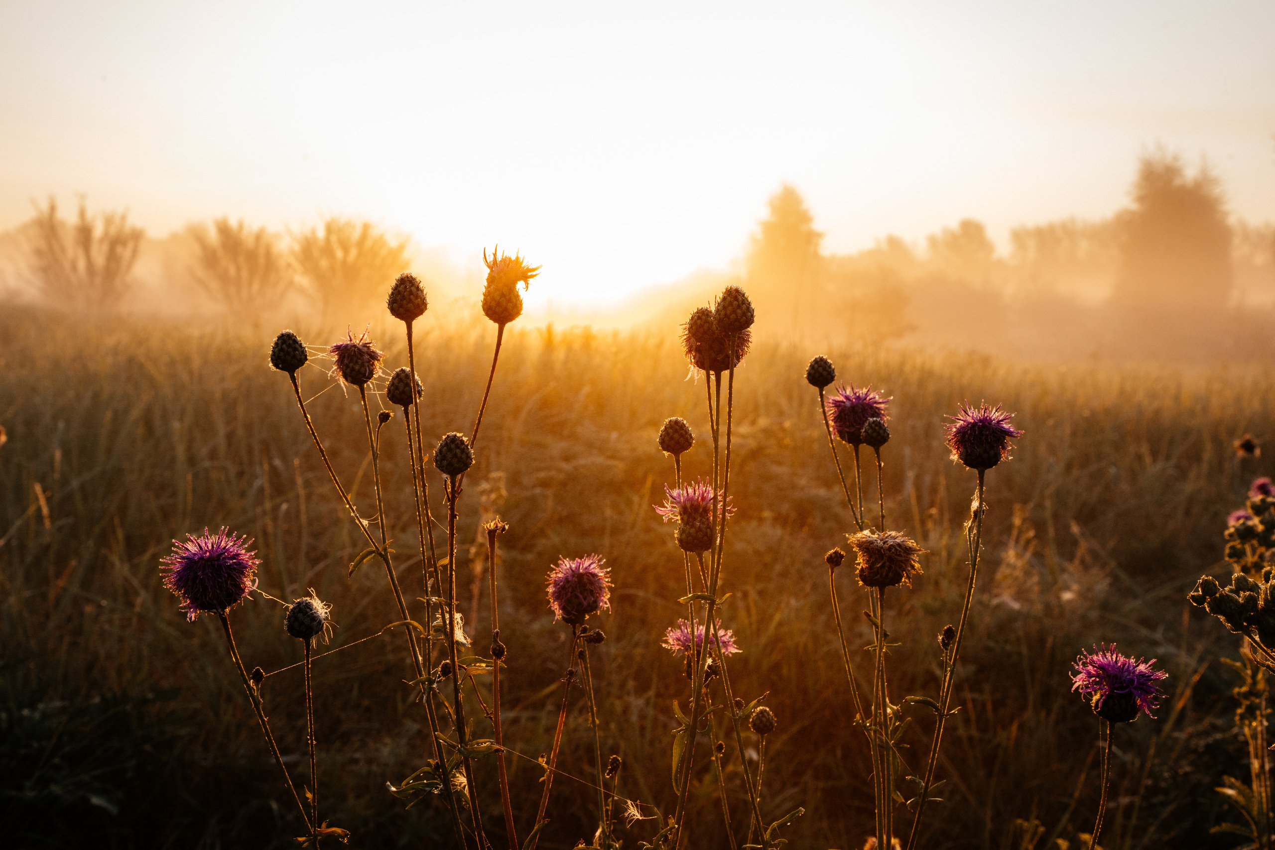 Пейзажи. Фотограф в Красноярске Оксана Корчагина