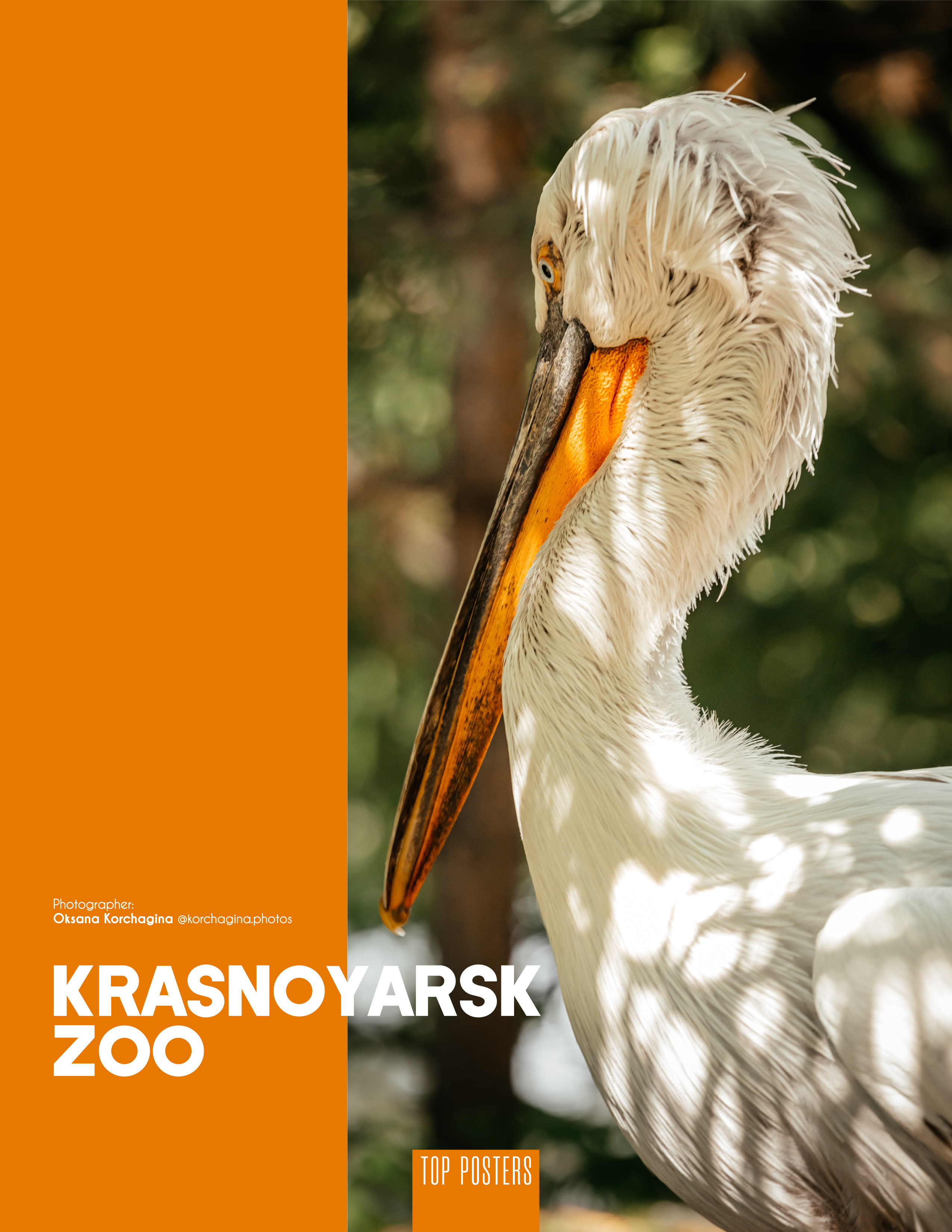 Публикации. Фотограф в Красноярске Оксана Корчагина