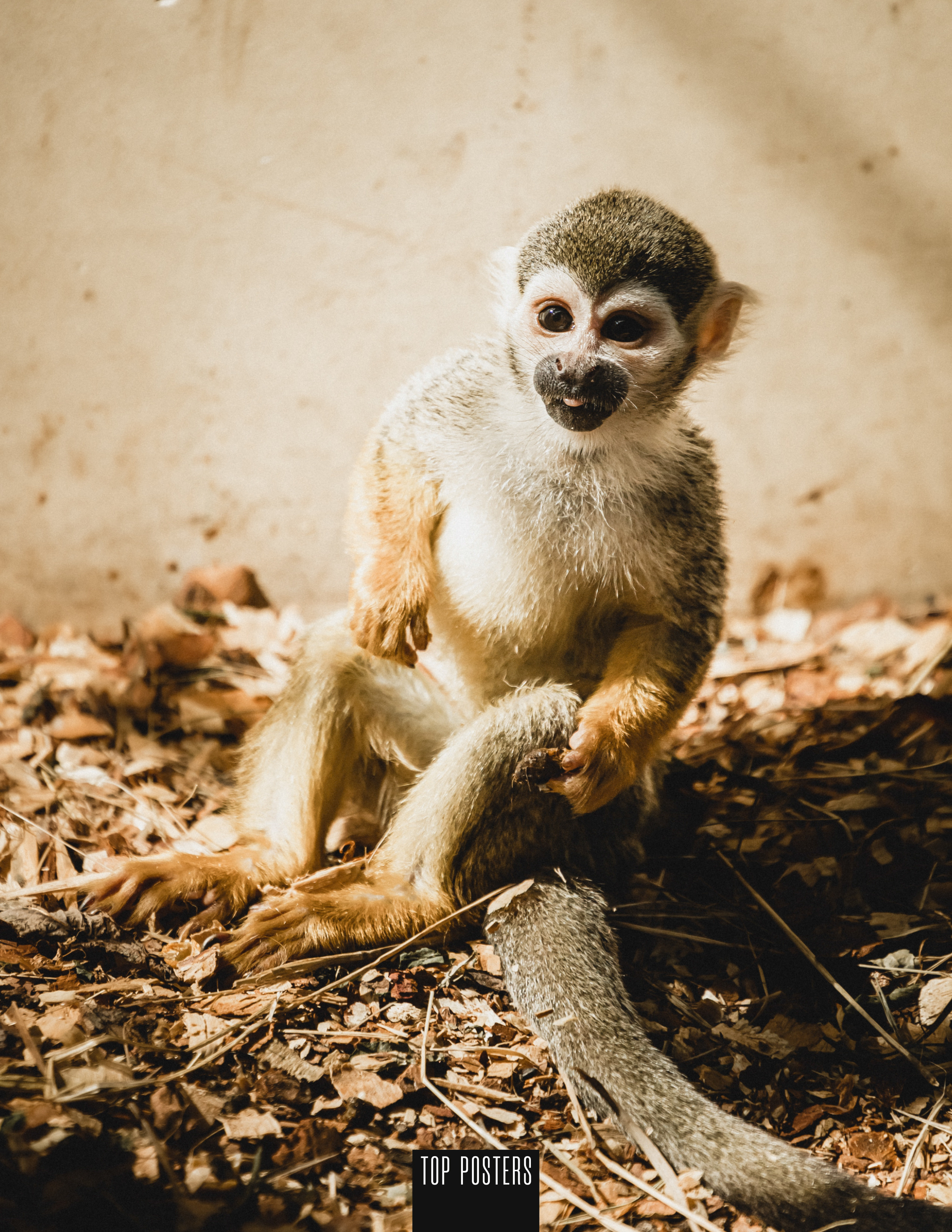 Публикации. Фотограф в Красноярске Оксана Корчагина