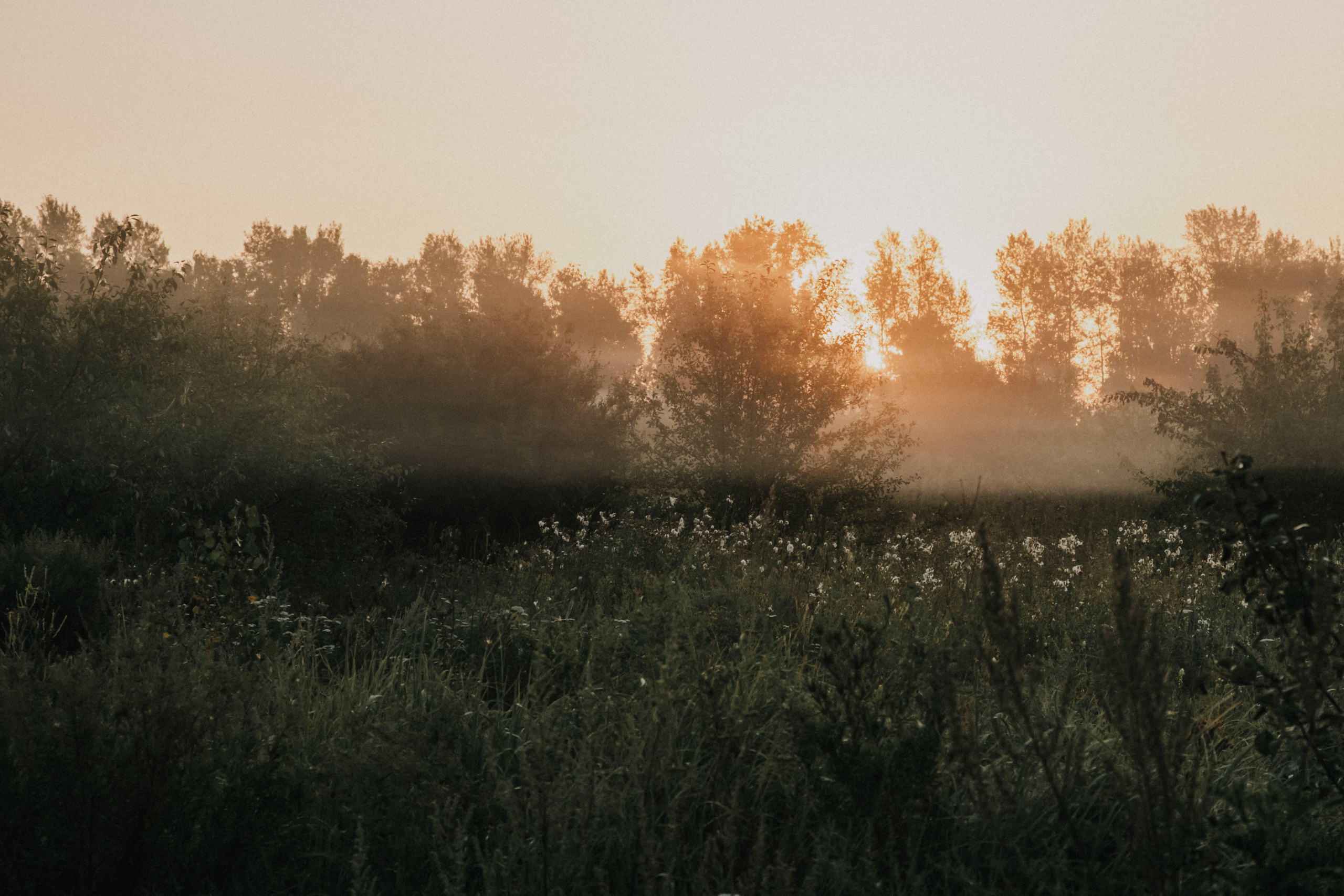 Пейзажи. Фотограф в Красноярске Оксана Корчагина