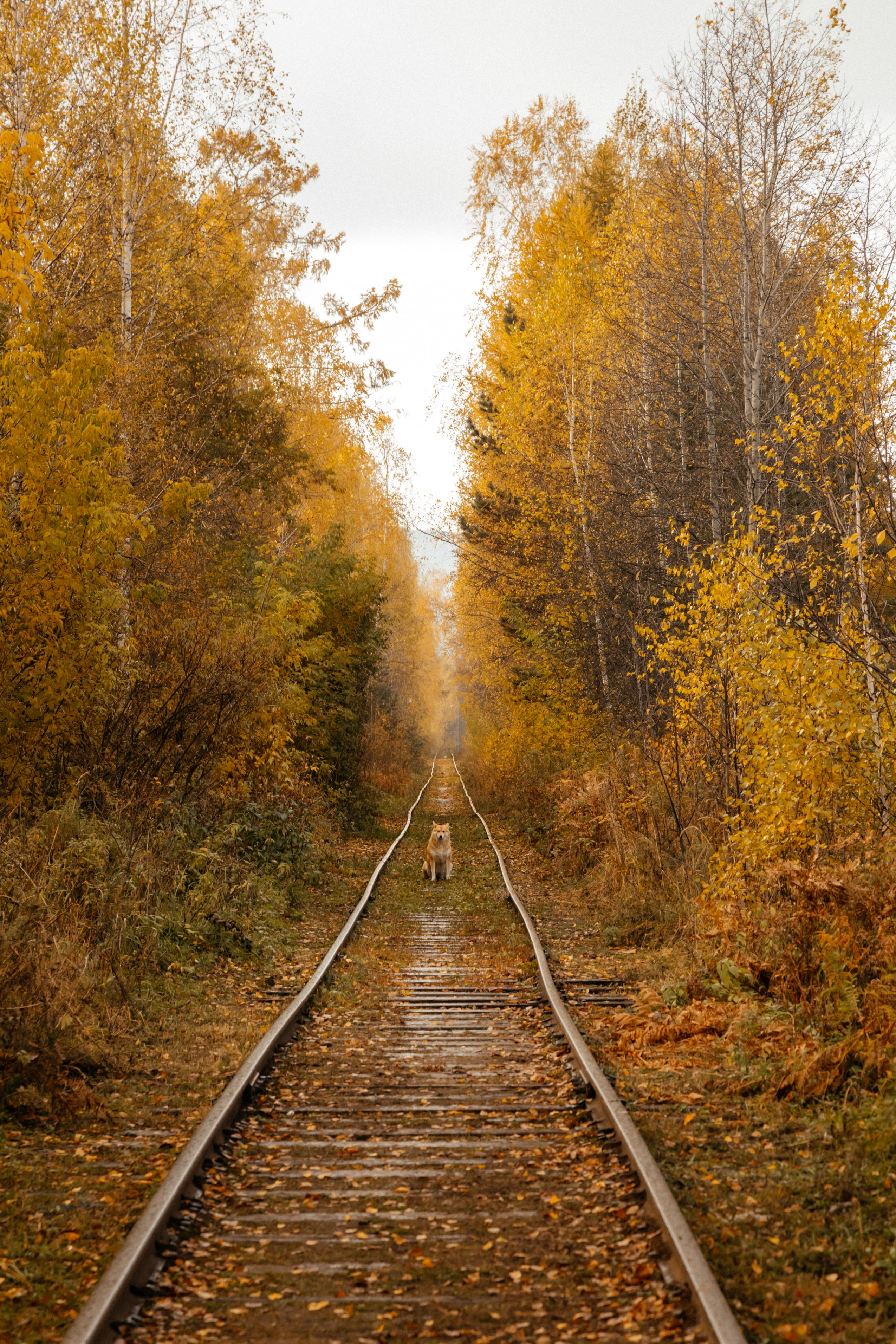 Пейзажи. Фотограф в Красноярске Оксана Корчагина