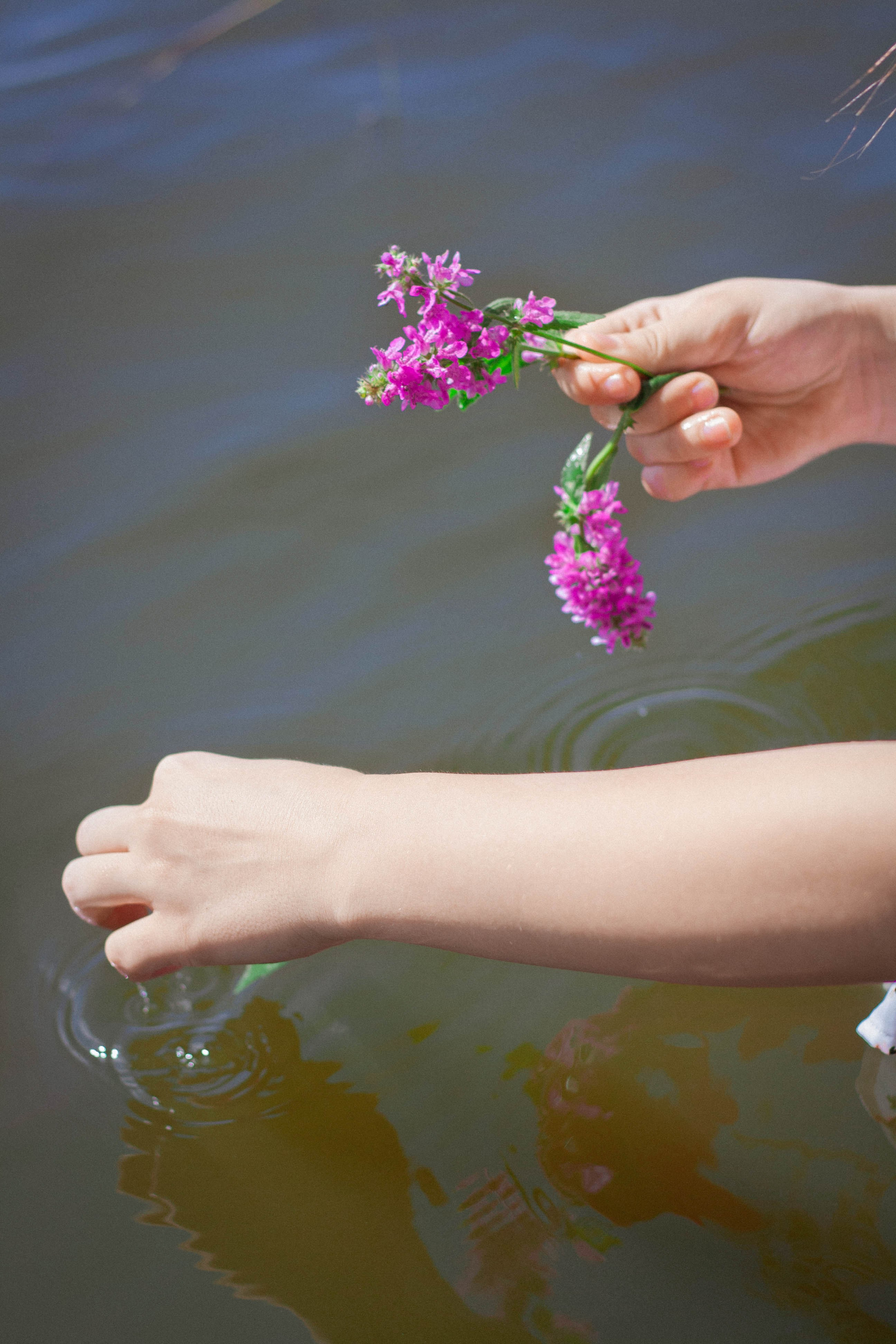 Summer reflections. Портретный фотограф в Саратове