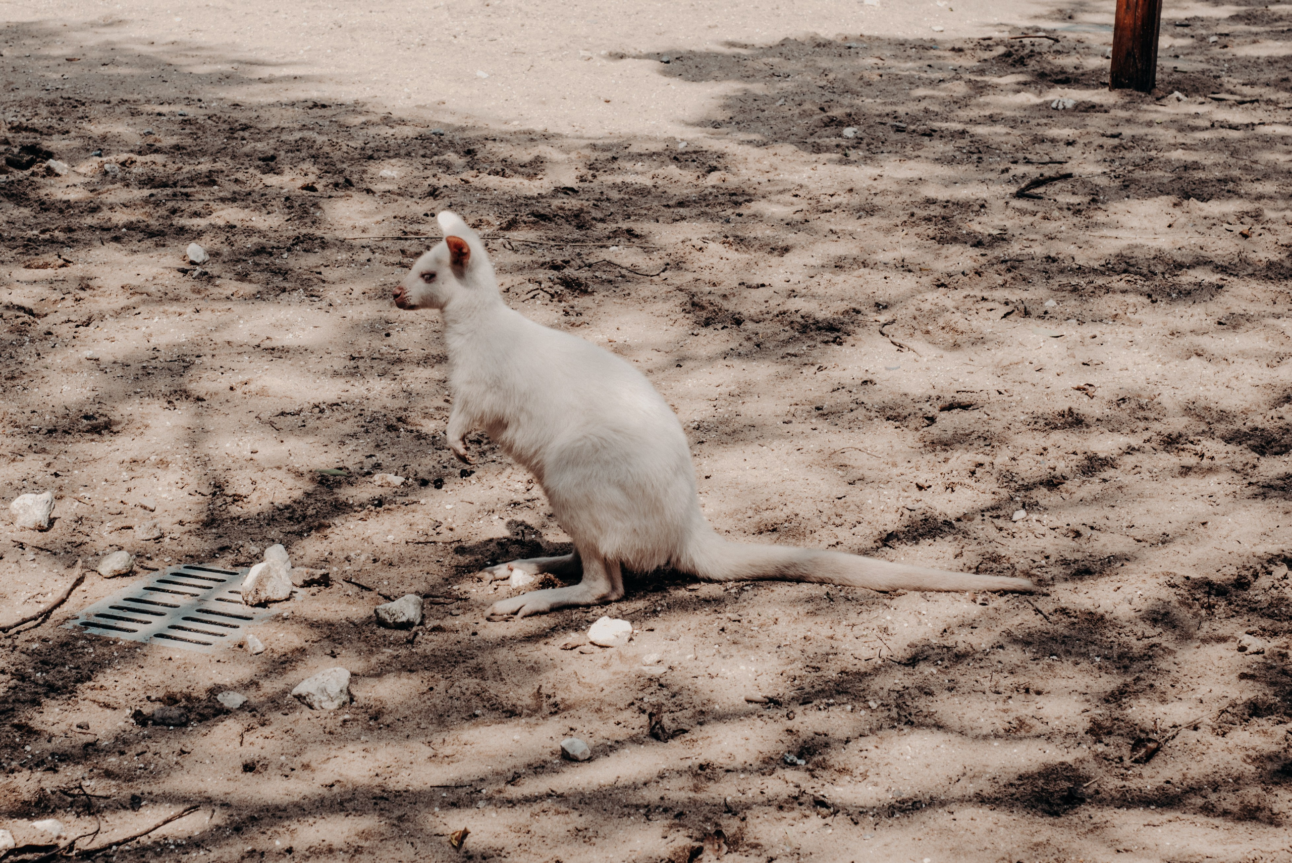Рекламный фотограф из Гуанчжоу: вдохновение в улицах Шанхая. Коммерческий и предметный фотограф в Гуанчжоу Коваленко Александр