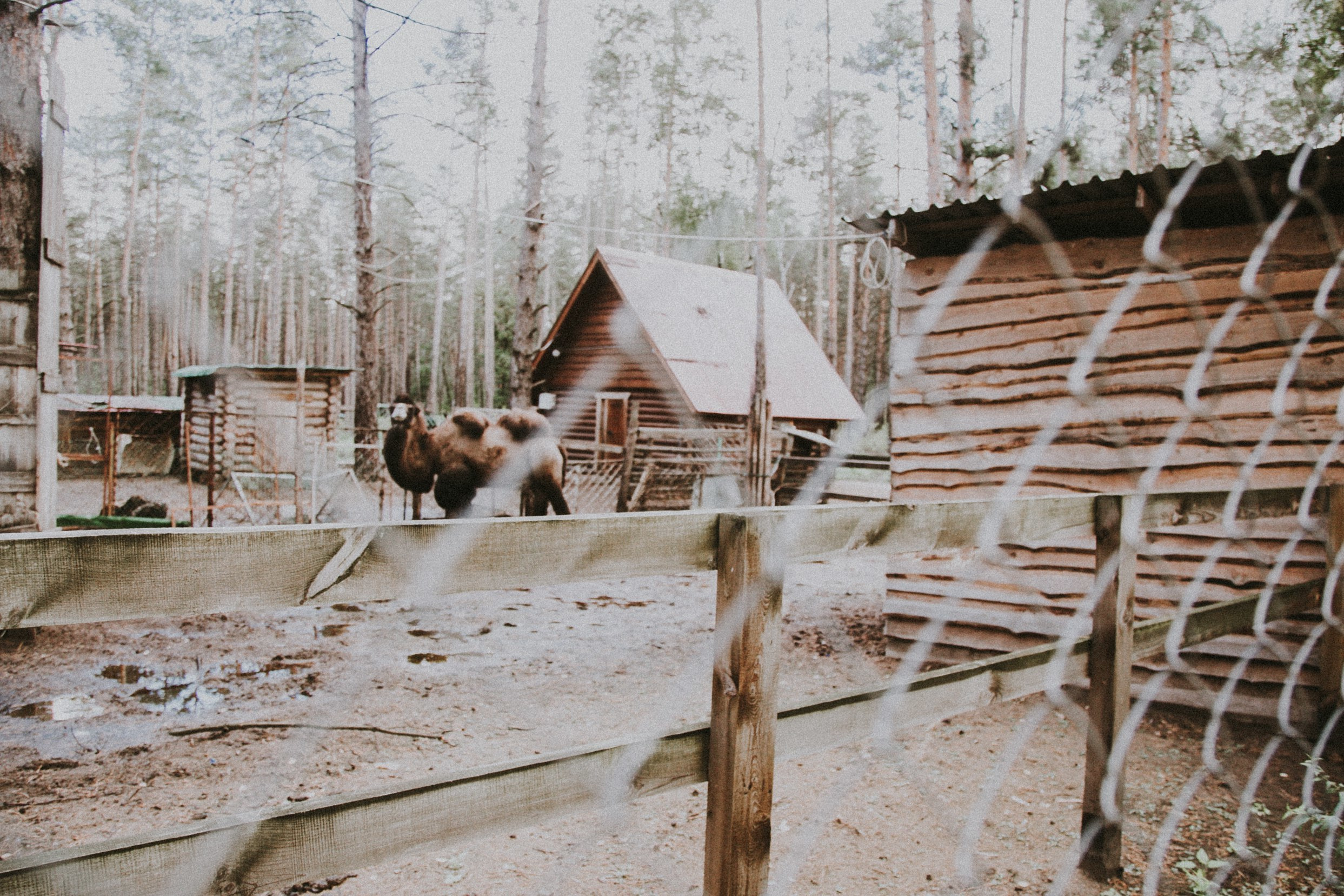 В+М. Фотограф Санкт-Петербург