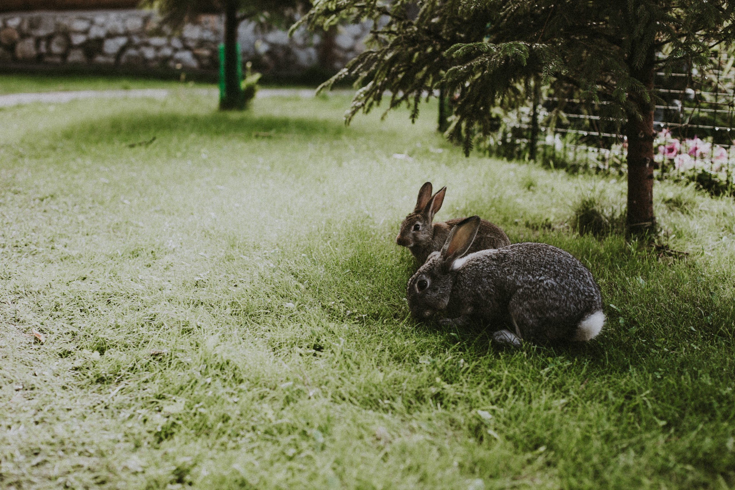 В+М. Фотограф Санкт-Петербург