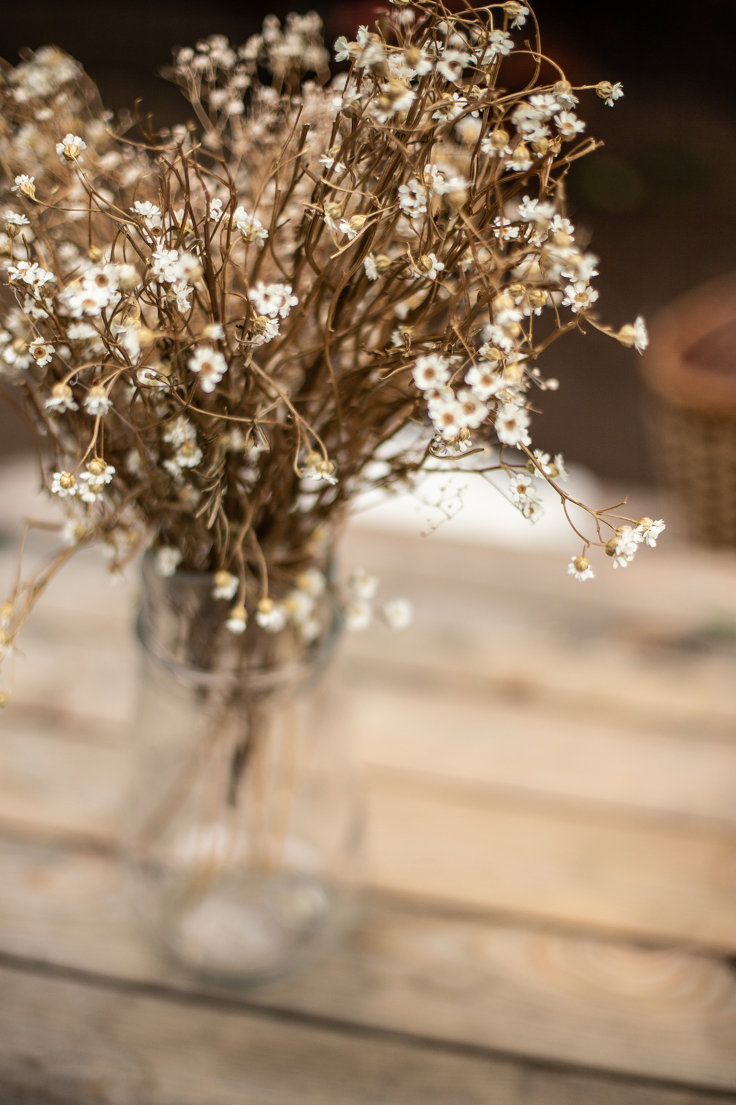 Детская фотосессия на ГринДаче. Фотограф, ретушёр в Москве