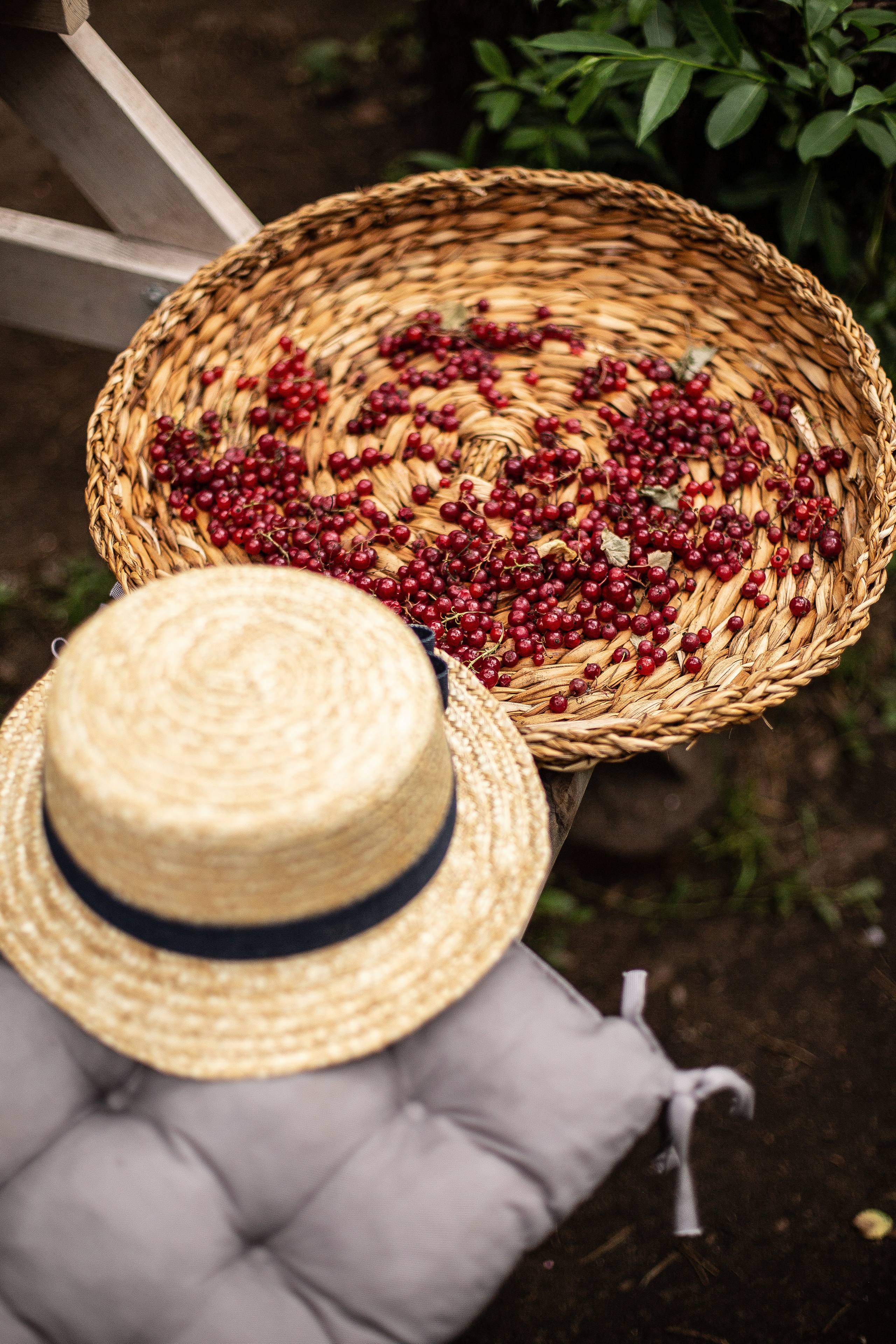 Детская фотосессия на ГринДаче. Фотограф, ретушёр в Москве