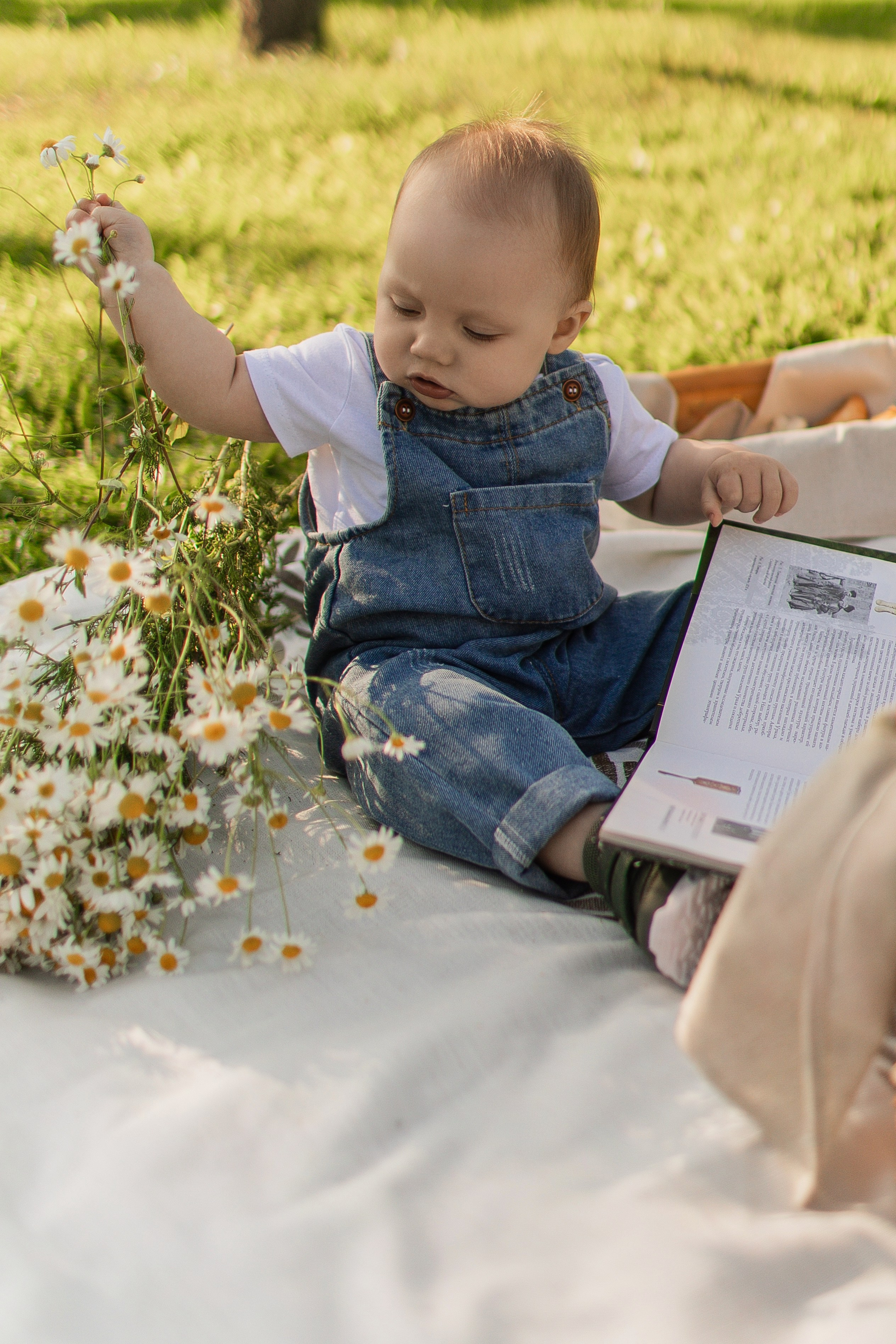 Летний день в парке. Семейная съемка — это красивый способ признаться своей семье в любви